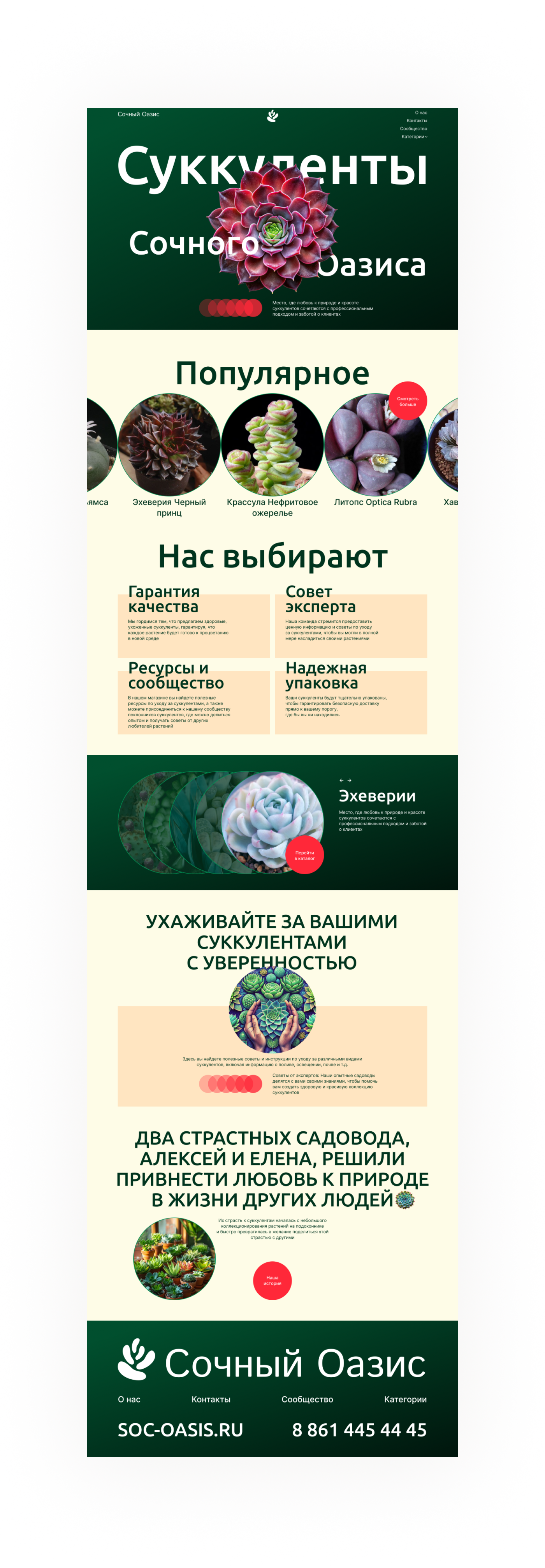 Сочный Оазис | Дизайн сайта — Изображение №3 — Интерфейсы на Dprofile