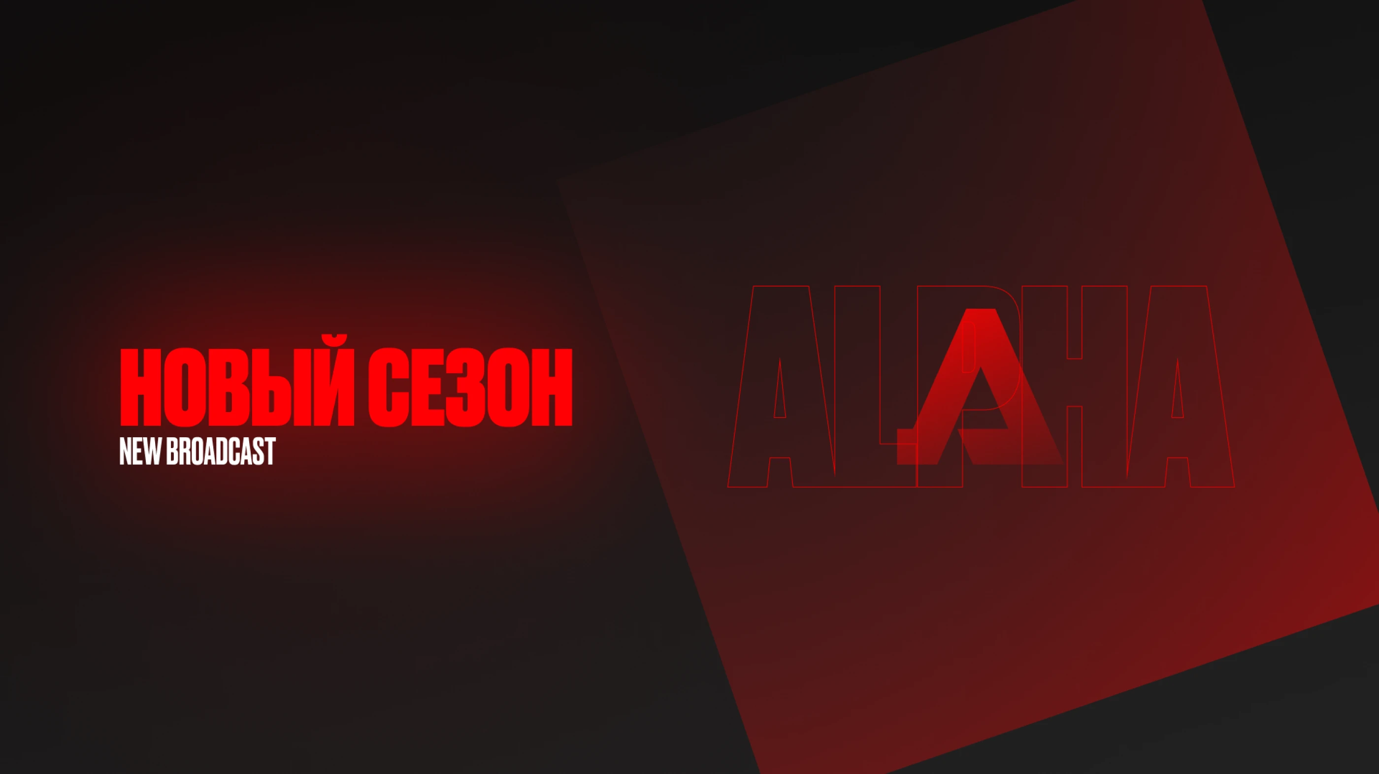 Тематические каналы "ALPHA" — Изображение №6 — Брендинг на Dprofile