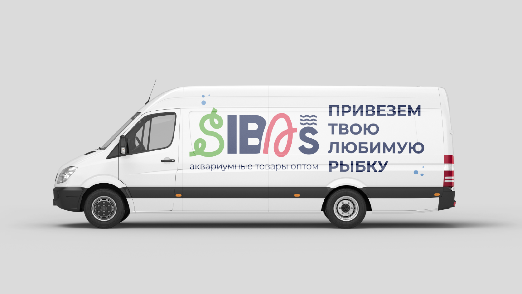 Фирменный стиль аквариумного магазина SibAS — Изображение №6 — Брендинг на Dprofile