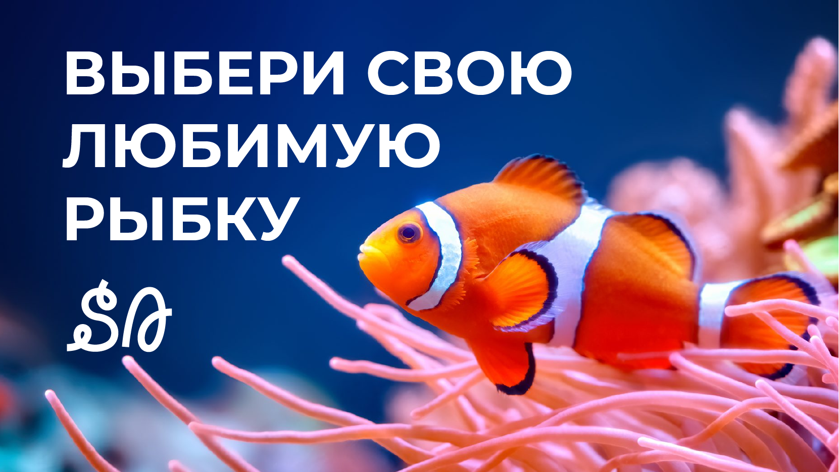 Фирменный стиль аквариумного магазина SibAS — Изображение №15 — Брендинг на Dprofile