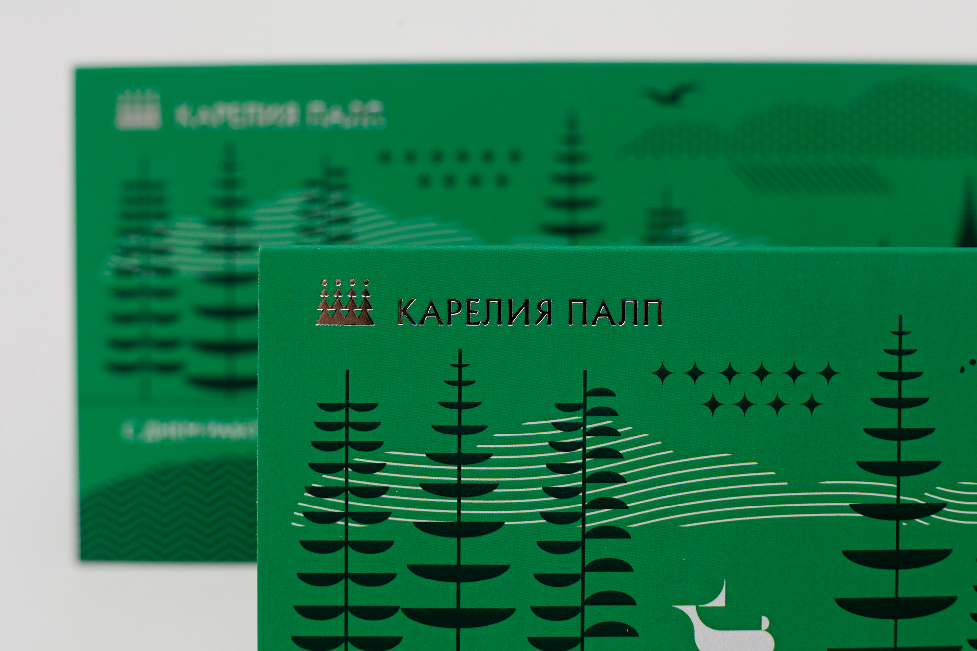Открытка для Карелия Палп — Изображение №4 — Графика на Dprofile
