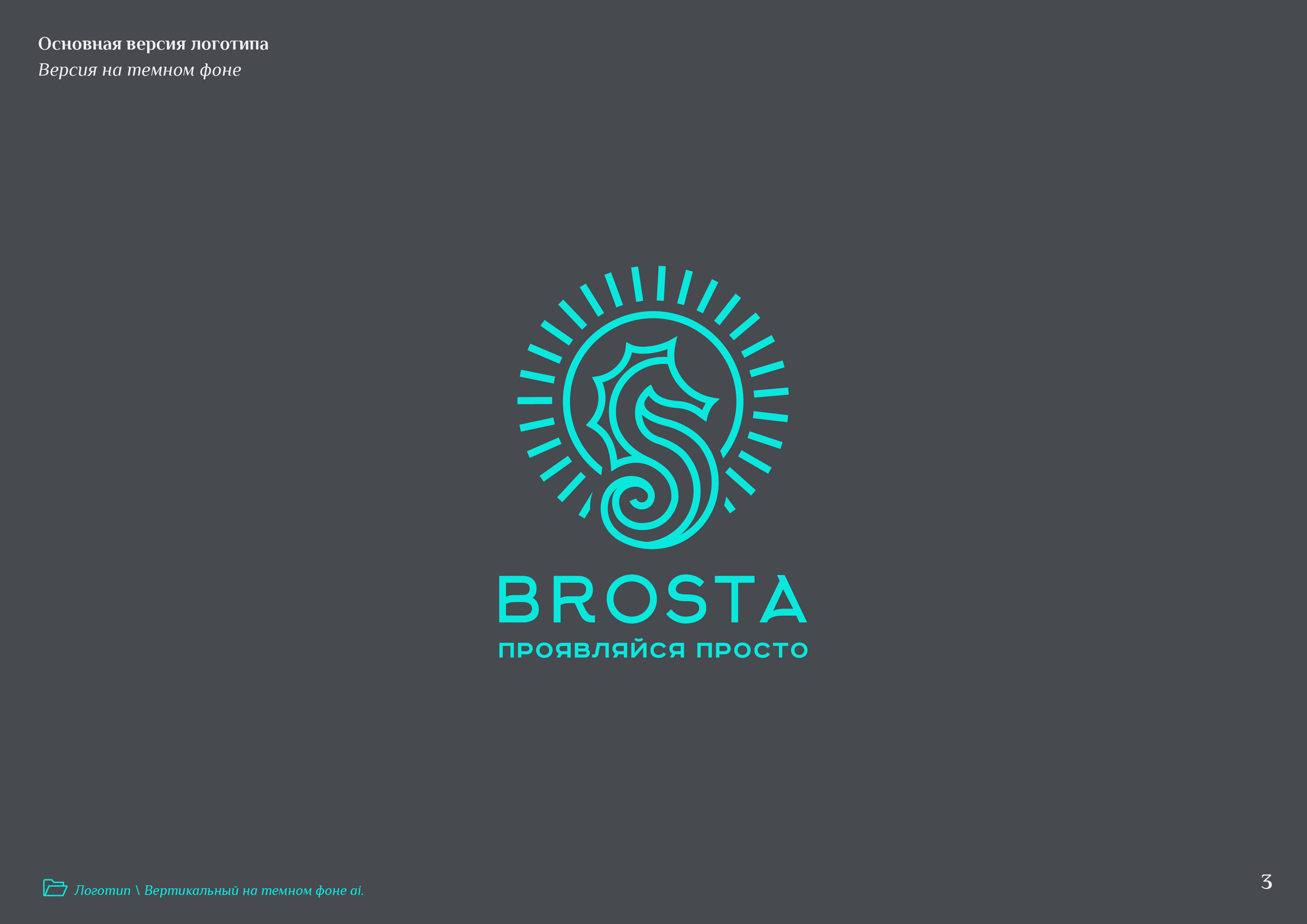 Brosta — Изображение №7 — Брендинг на Dprofile