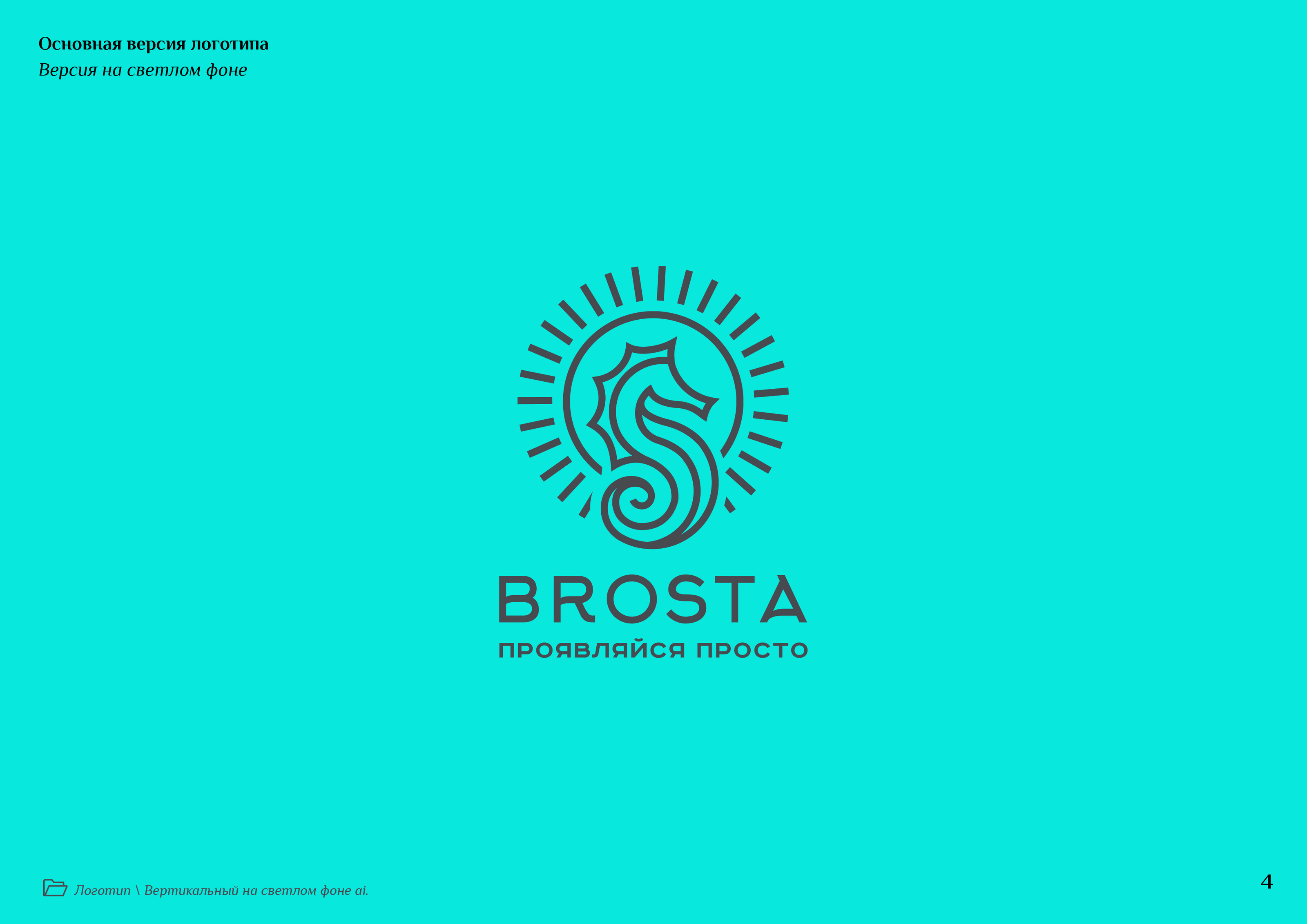 Brosta — Изображение №8 — Брендинг на Dprofile