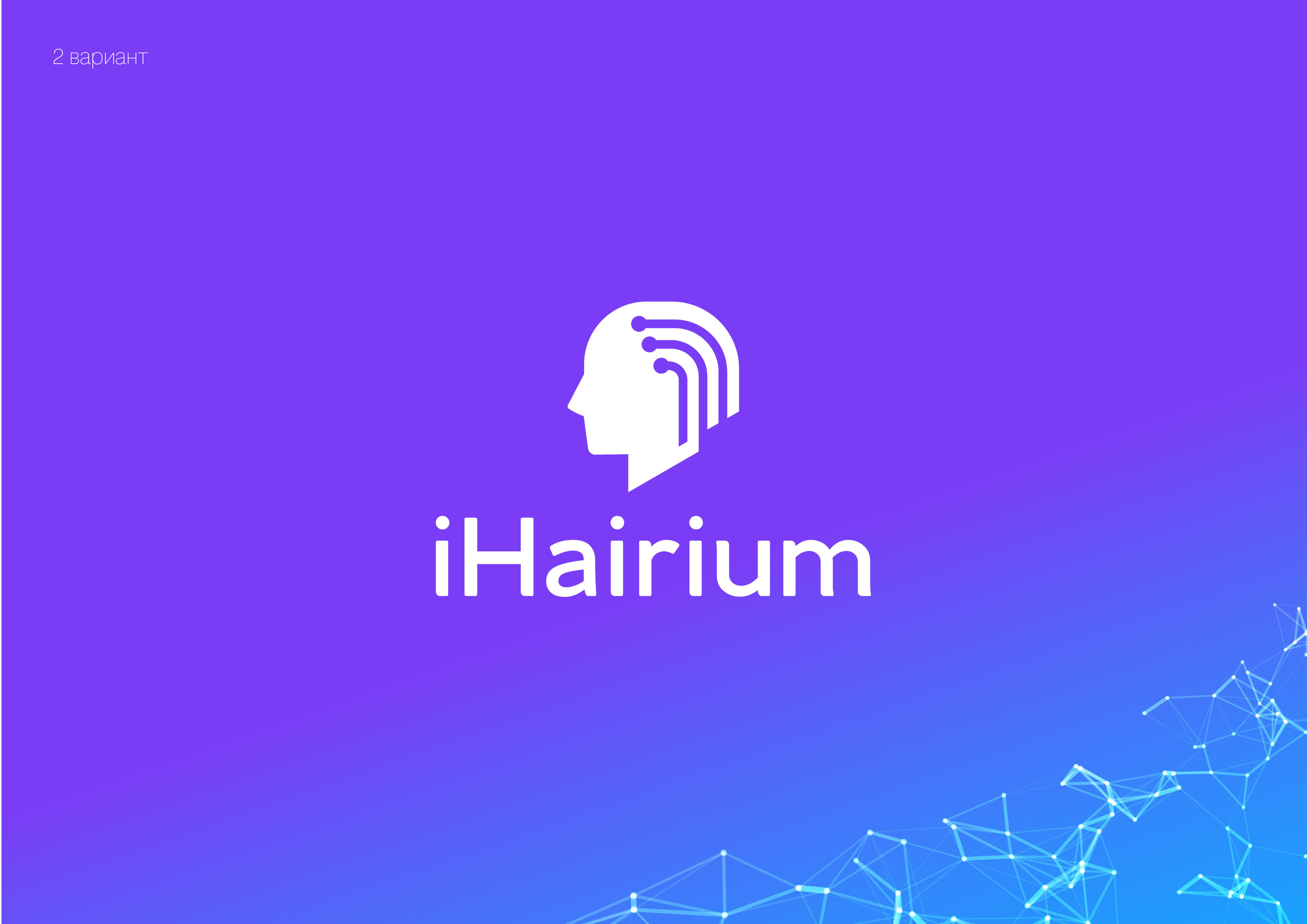 I Hairium — Изображение №5 — Брендинг на Dprofile
