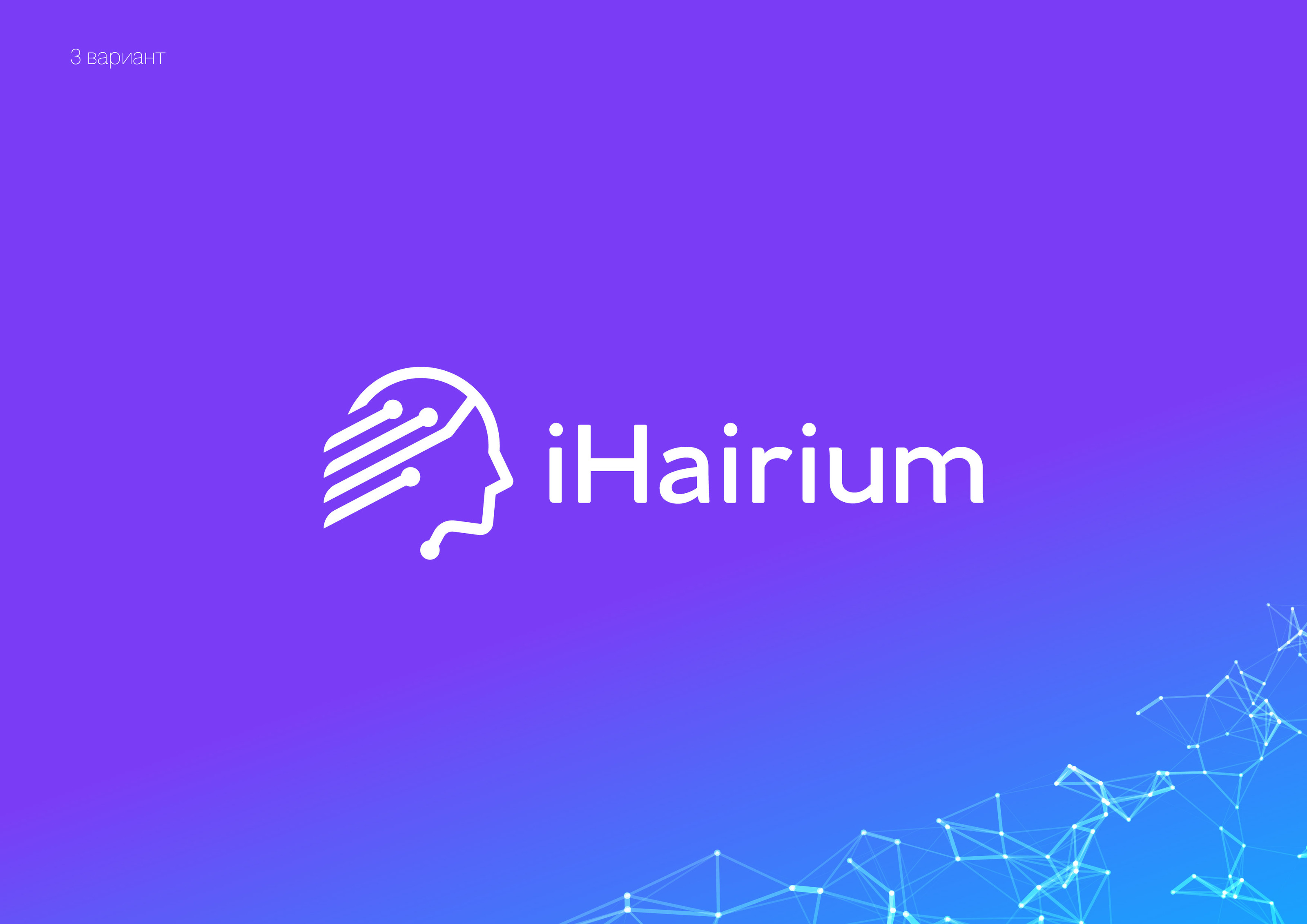 I Hairium — Изображение №9 — Брендинг на Dprofile