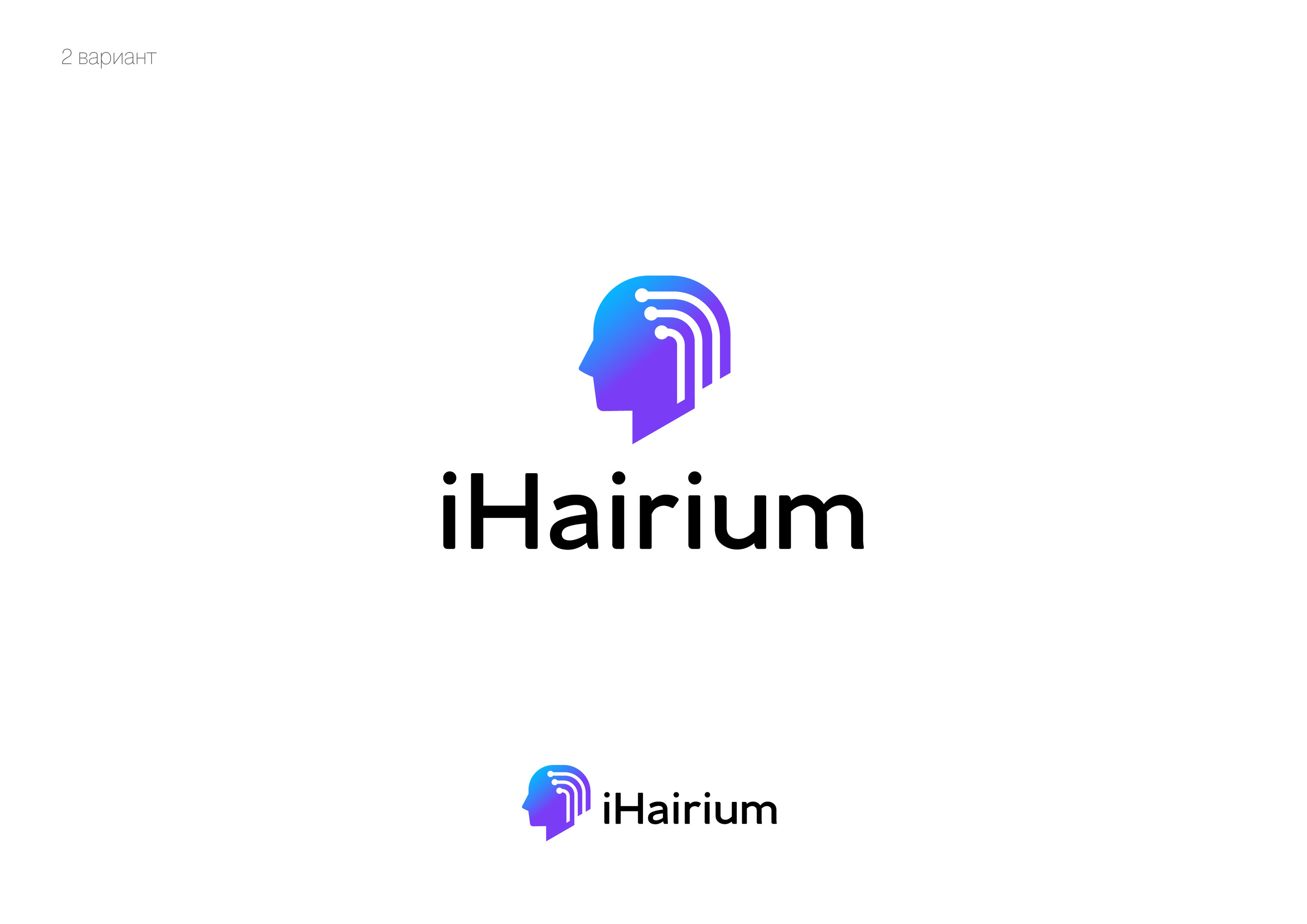 I Hairium — Изображение №7 — Брендинг на Dprofile