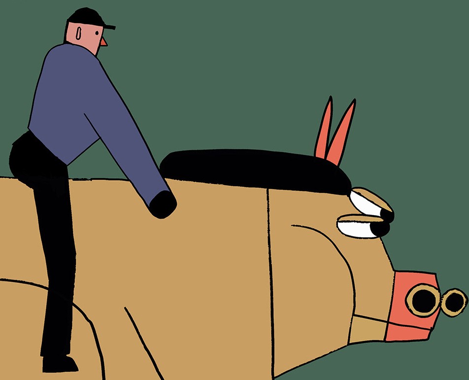 Наездники на Dprofile