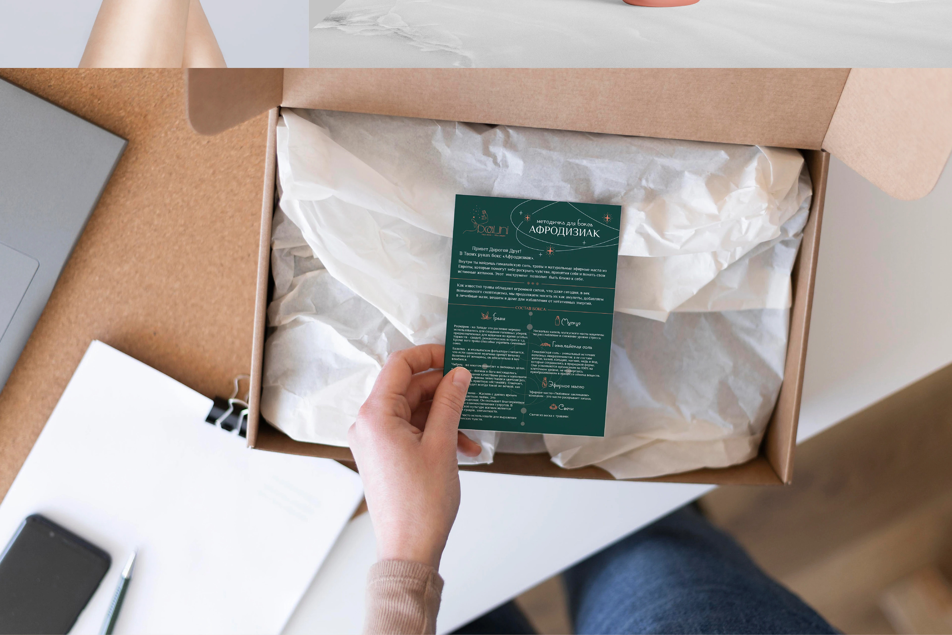 Логотип| POALINI — Изображение №4 — Брендинг на Dprofile