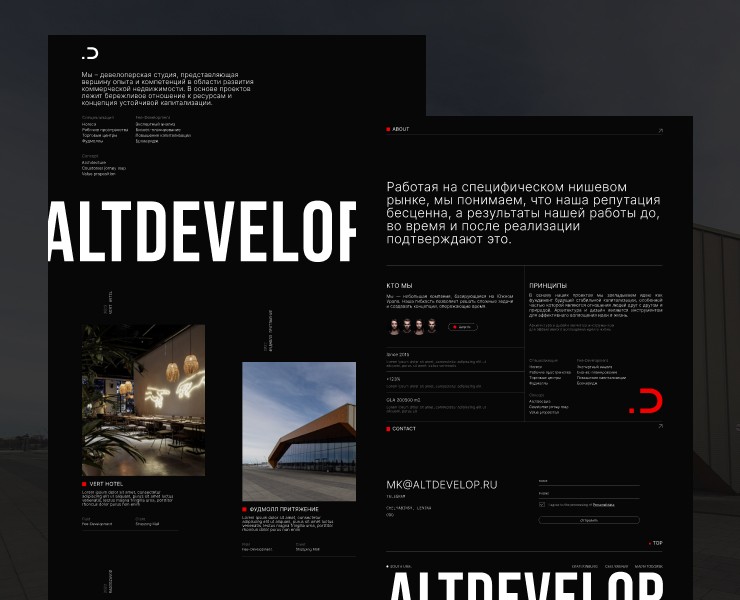 Altdevelopment | Редизайн сайта | Тильда на Dprofile