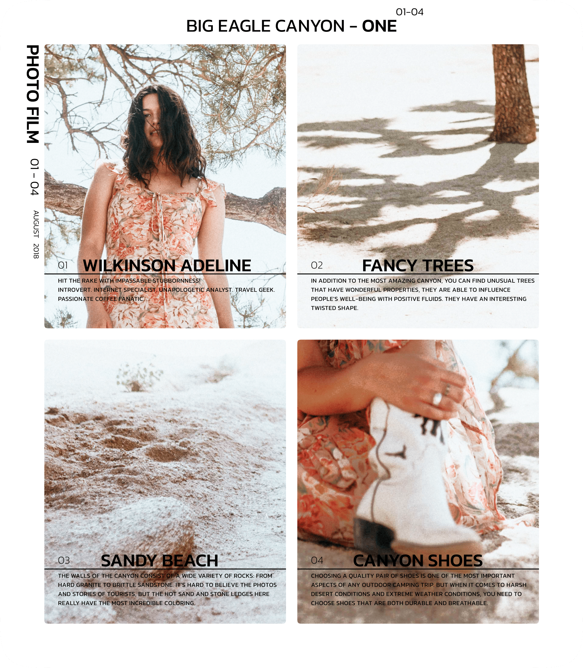 Photographic Film — Изображение №2 — Интерфейсы, Графика на Dprofile