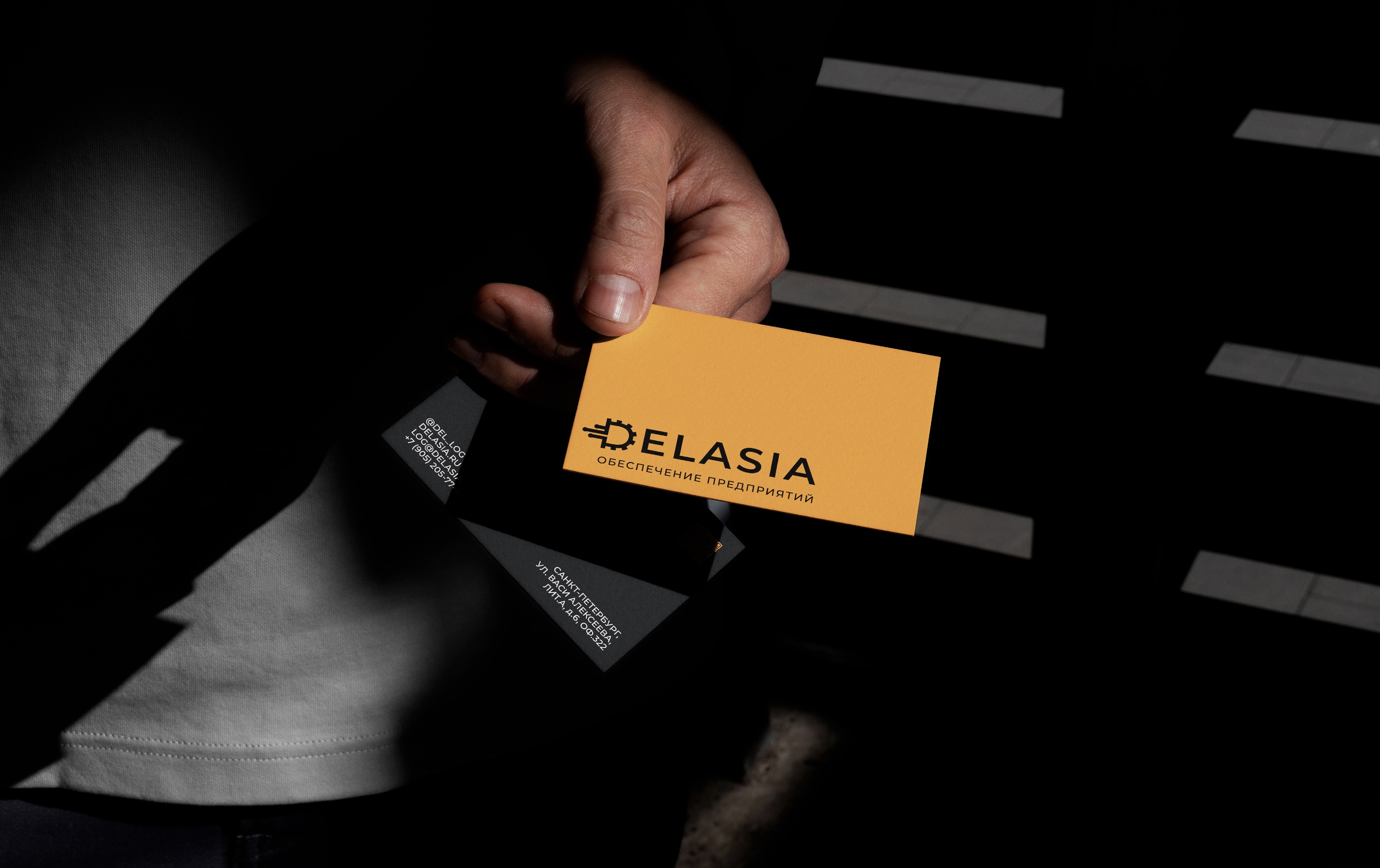 Delasia / Брендинг / Брендбук — Изображение №9 — Брендинг на Dprofile
