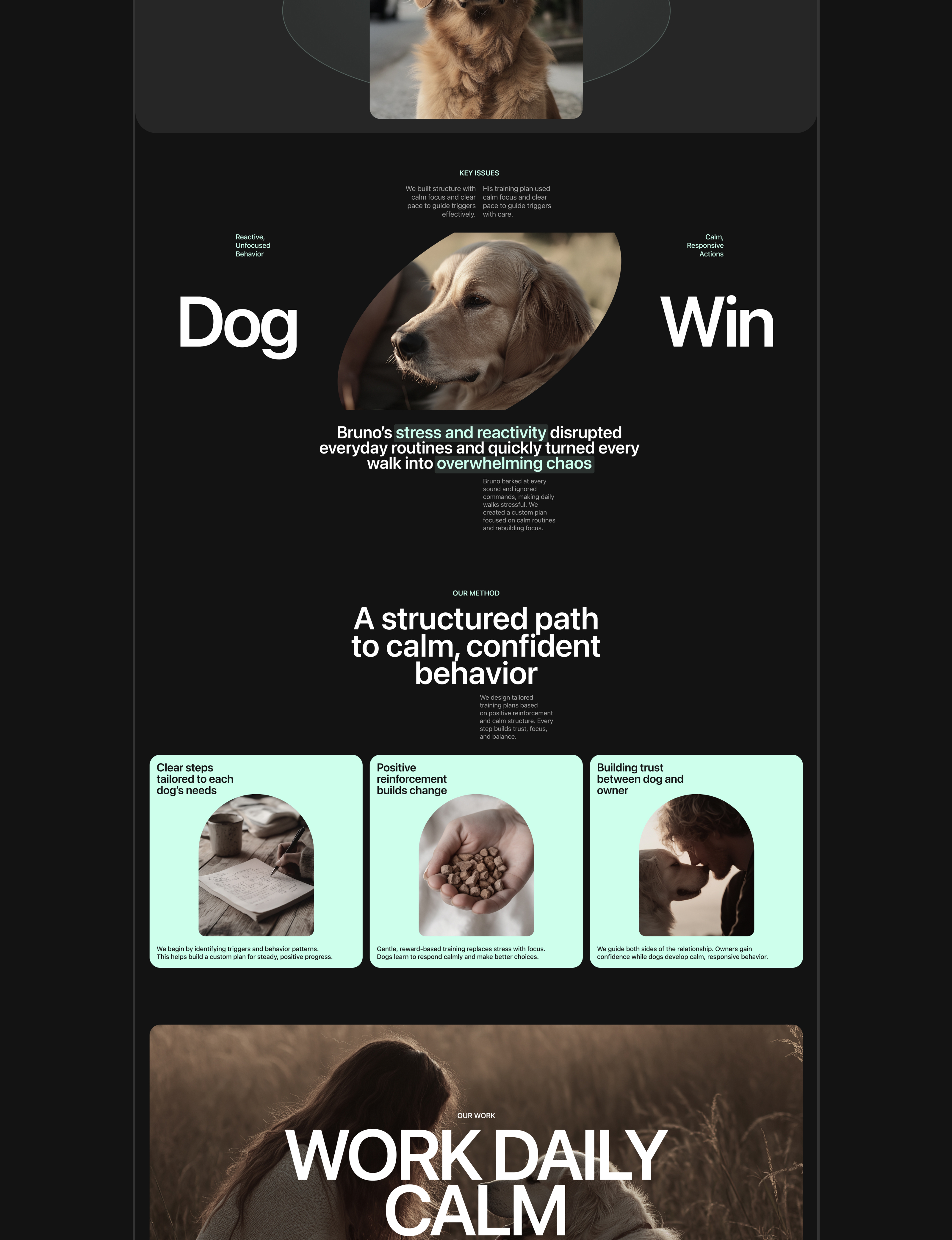 BarkLine: сайт по дрессировке собак — Изображение №10 — Интерфейсы на Dprofile