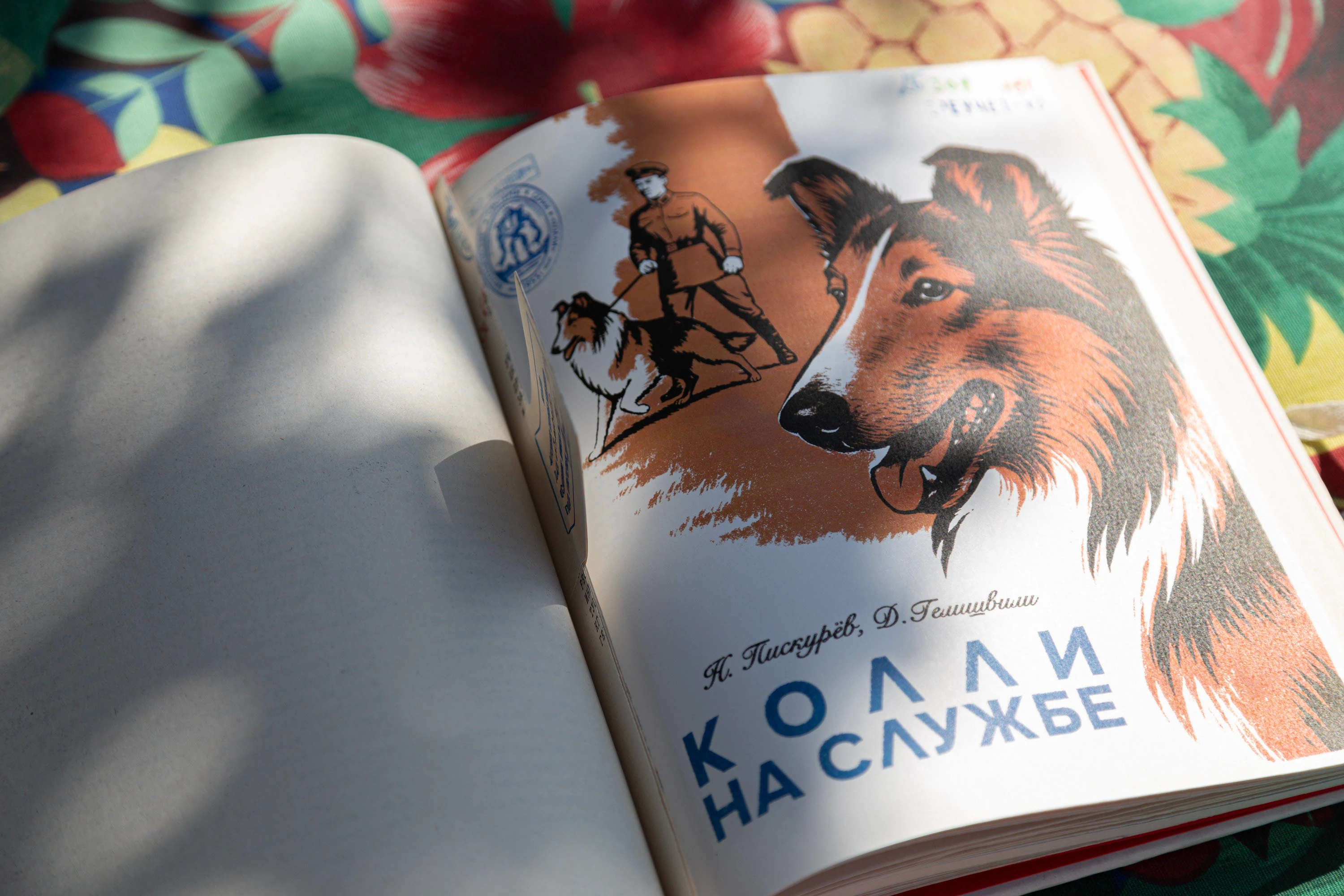 Биоробот «Колли» — Изображение №12 — Иллюстрация, Графика на Dprofile