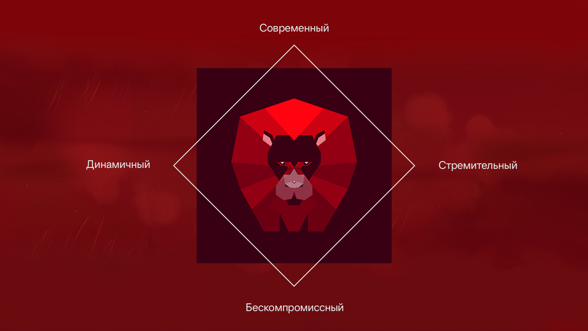 Креатив на МАХимум — Изображение №6 — Брендинг, Графика на Dprofile