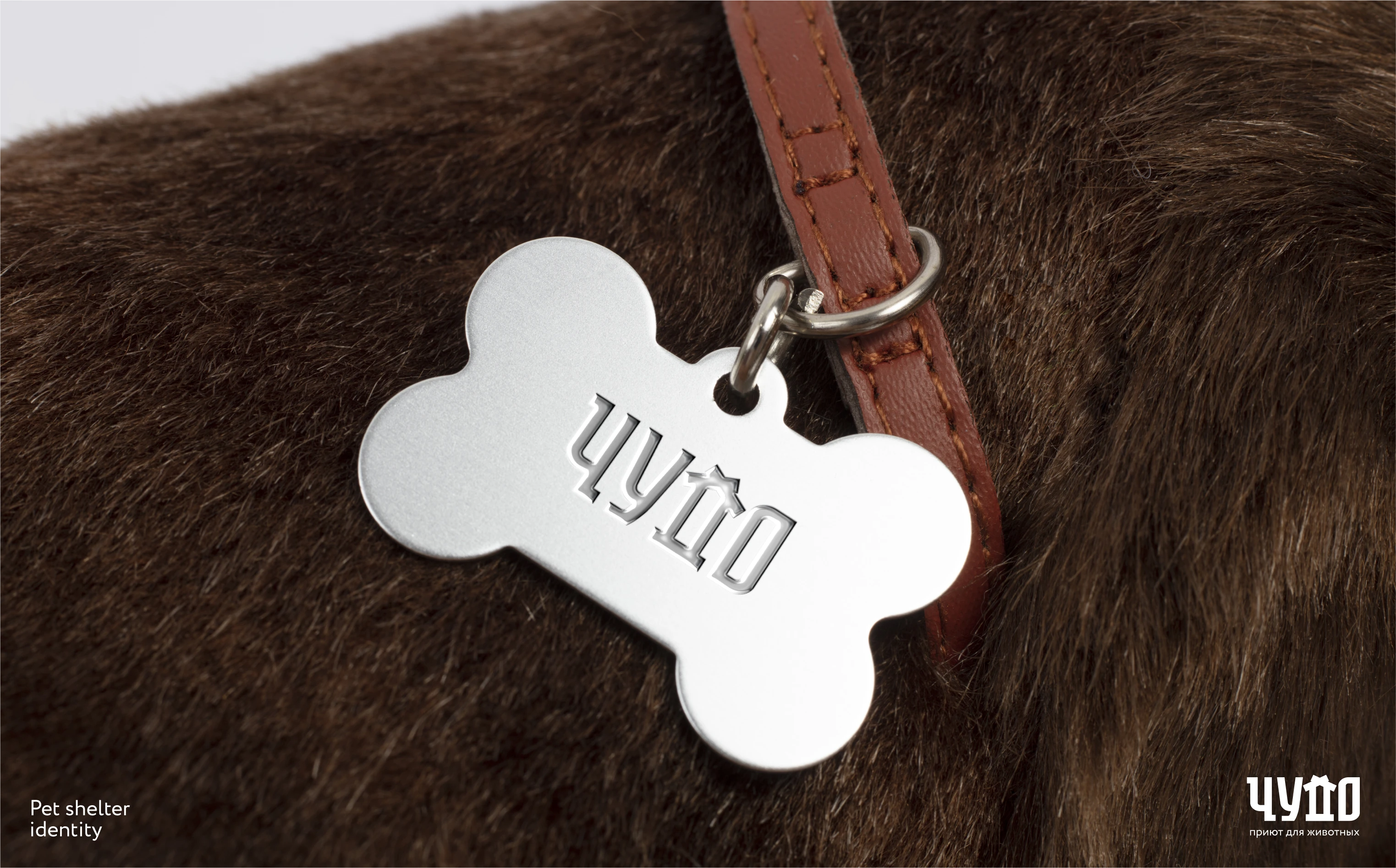 Chudo - Visual identity for animal shelter — Изображение №3 — Брендинг, Иллюстрация на Dprofile