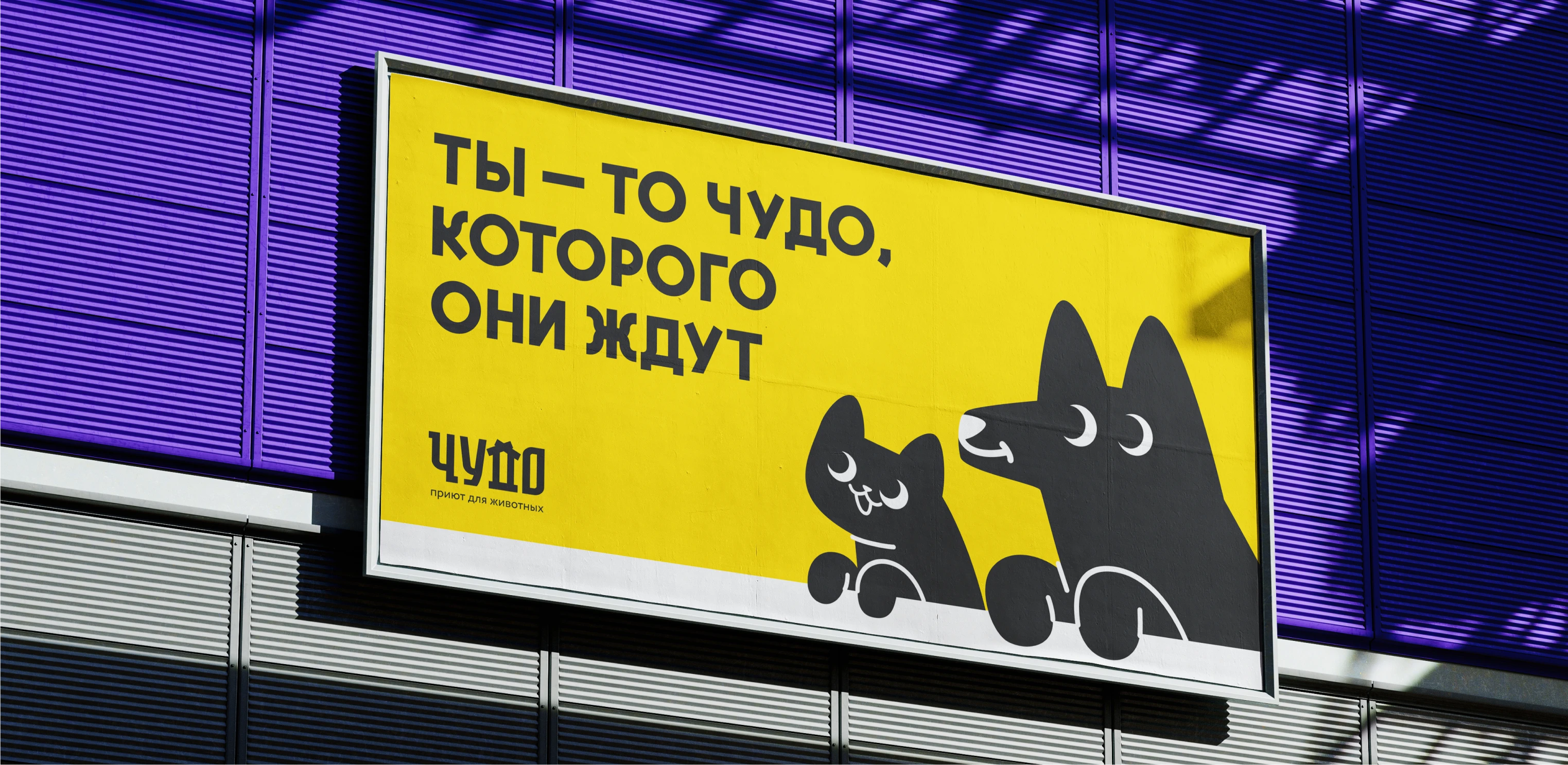 Chudo - Visual identity for animal shelter — Изображение №1 — Брендинг, Иллюстрация на Dprofile