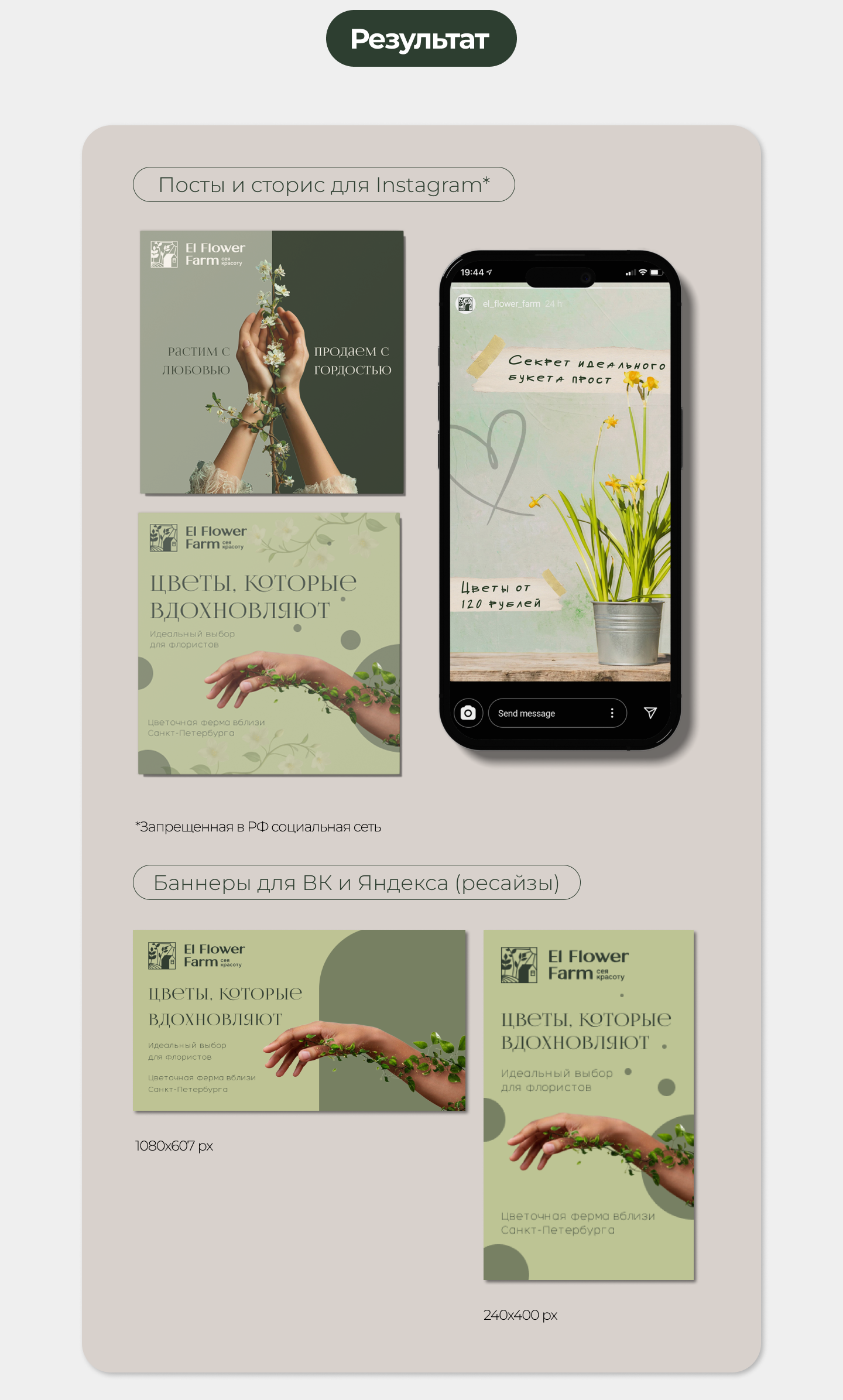 Дизайн контента El Flower Farm — Изображение №3 — Маркетинг на Dprofile