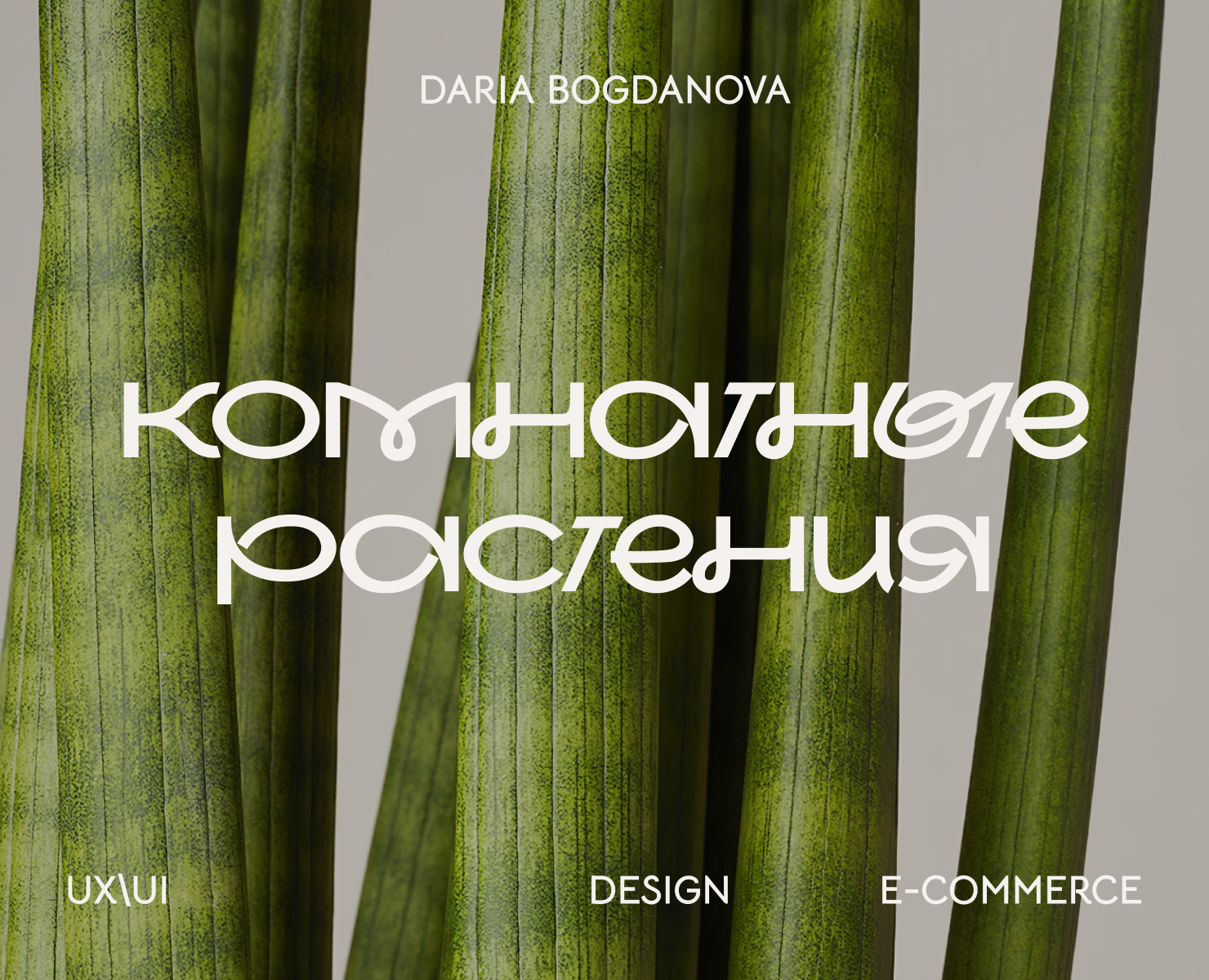UX/UI | E-COMMERСE | КОМНАТНЫЕ РАСТЕНИЯ на Dprofile
