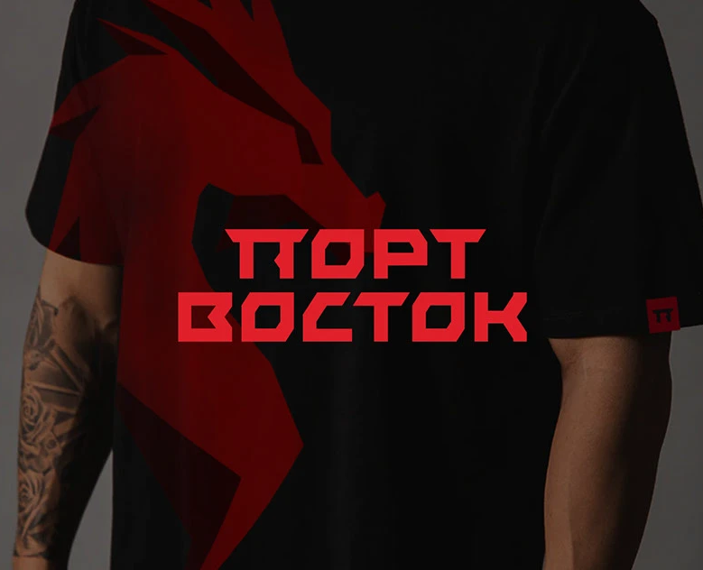Гайдлайн по брендированию для "Порт Восток" — Брендинг на Dprofile