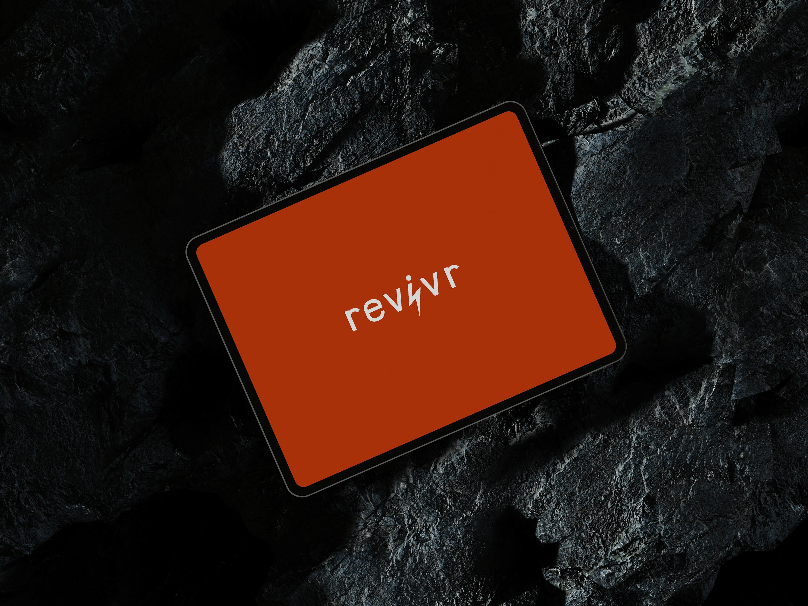 Логотип, брендбук, фирменный стиль для Revivr — Изображение №2 — Брендинг на Dprofile