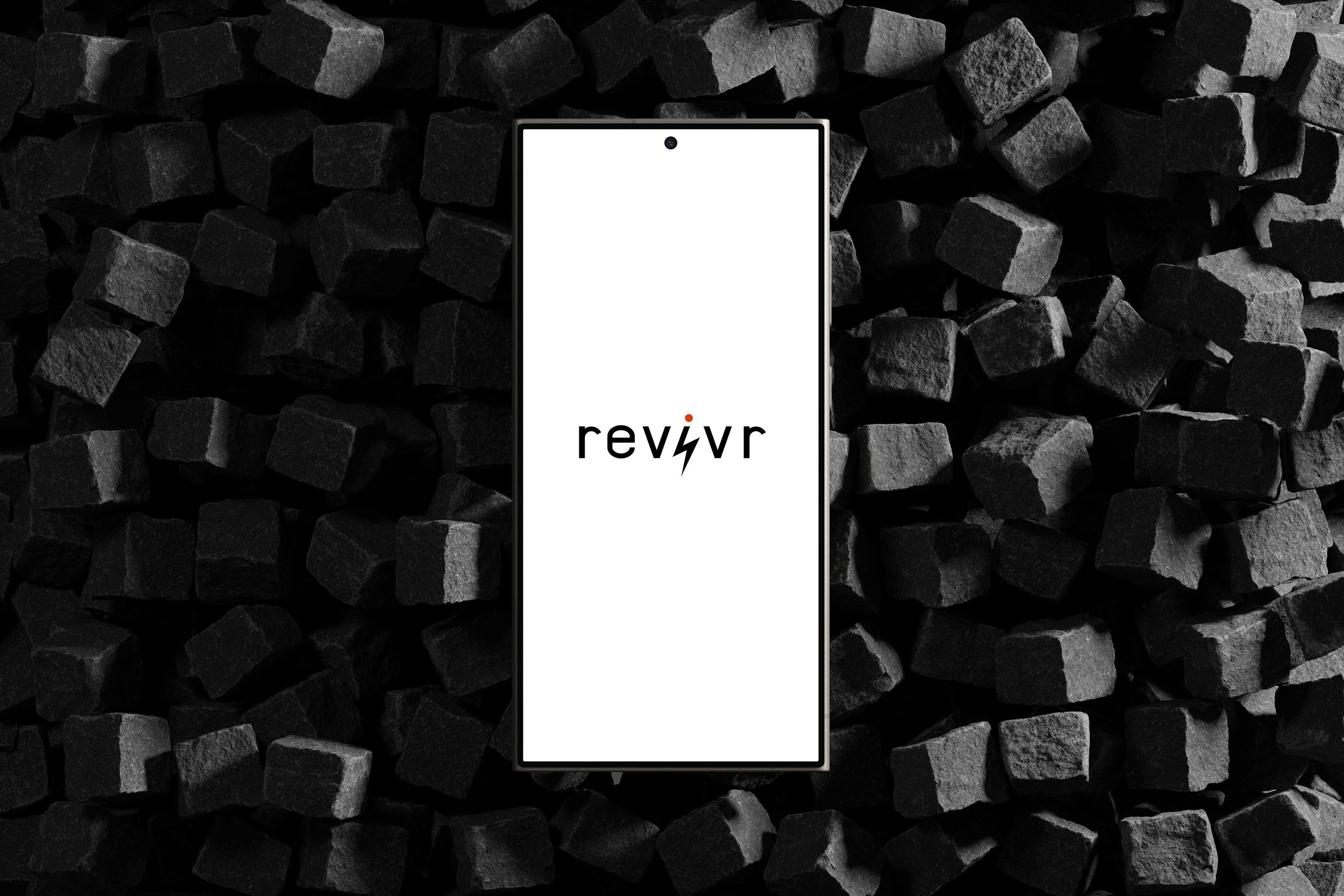 Логотип, брендбук, фирменный стиль для Revivr — Изображение №1 — Брендинг на Dprofile