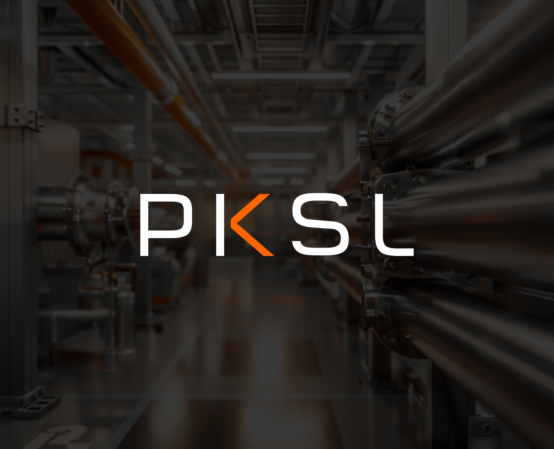 PKSL - Лого, айдентика, сопровождение — Брендинг на Dprofile