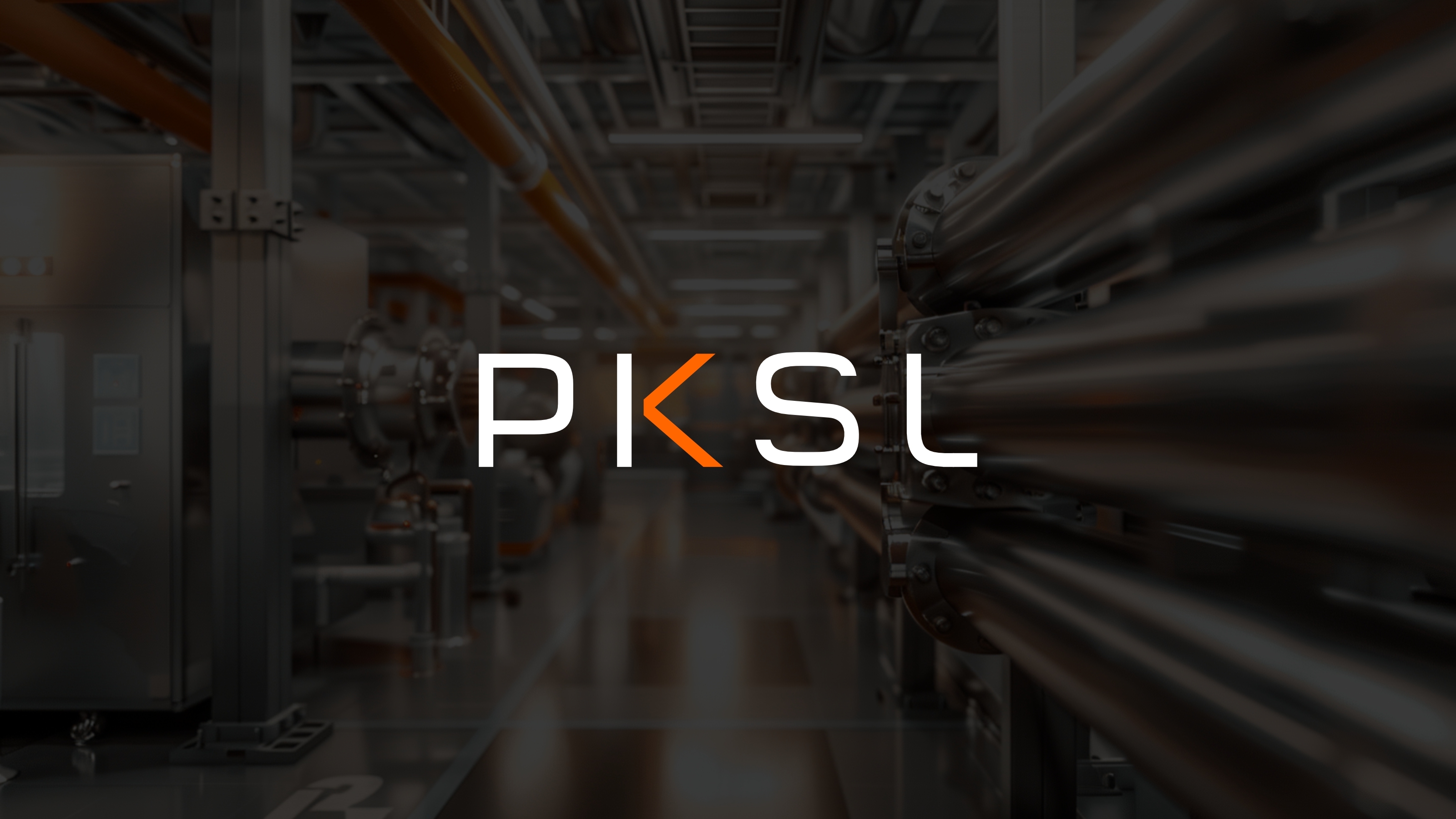 PKSL - Лого, айдентика, сопровождение — Изображение №1 — Брендинг на Dprofile
