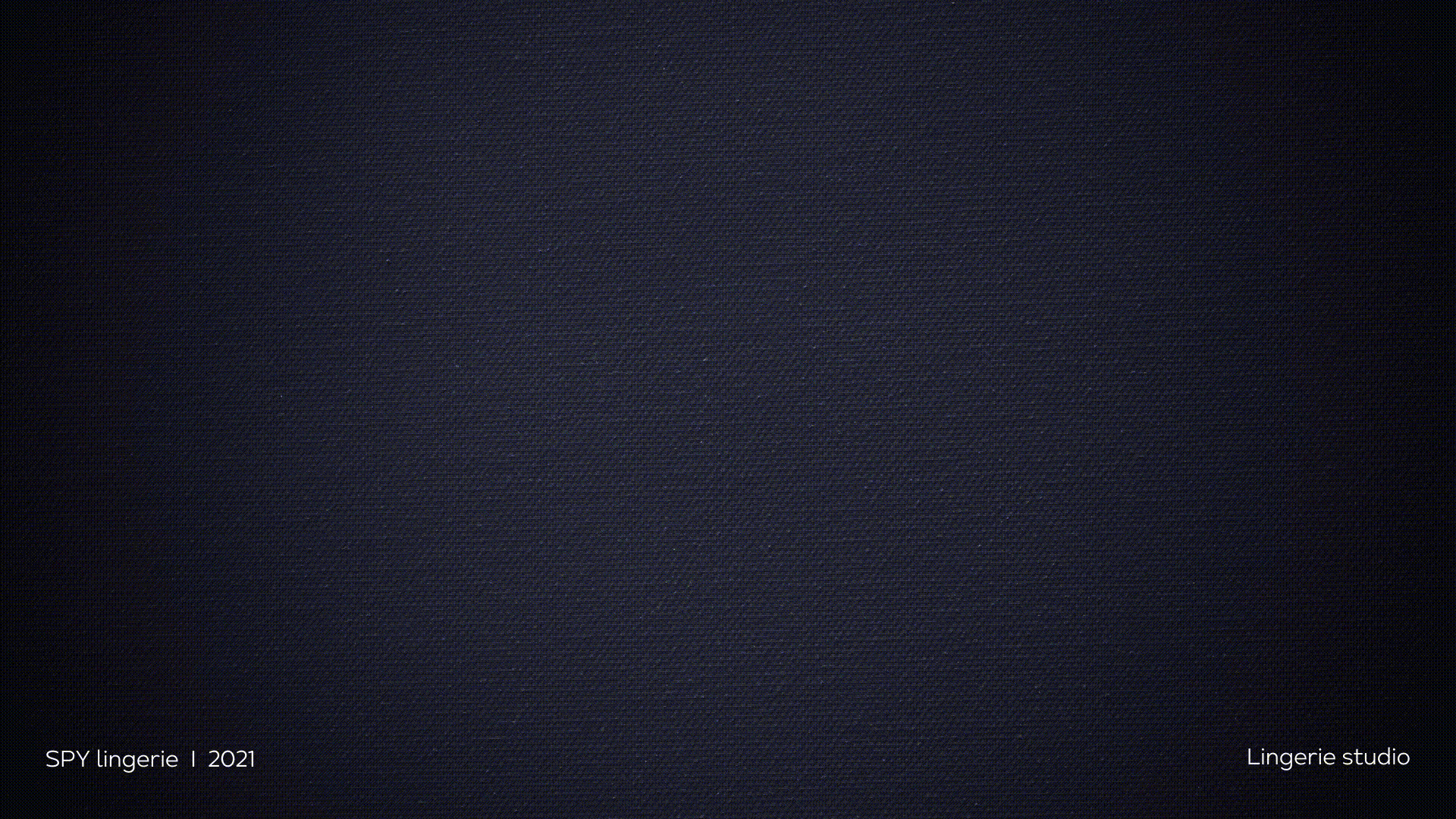 Logofolio. Animated logotypes — Изображение №1 — Брендинг, Анимация на Dprofile