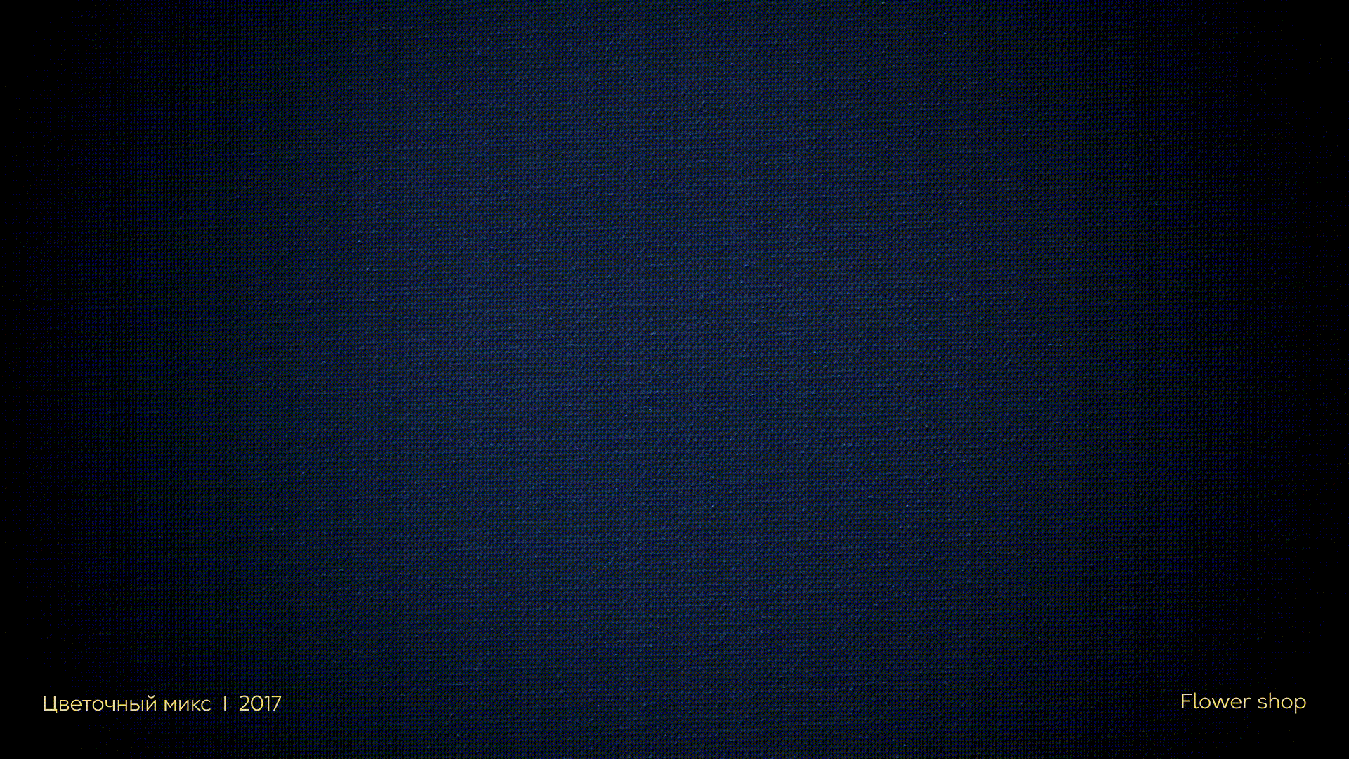 Logofolio. Animated logotypes — Изображение №11 — Брендинг, Анимация на Dprofile