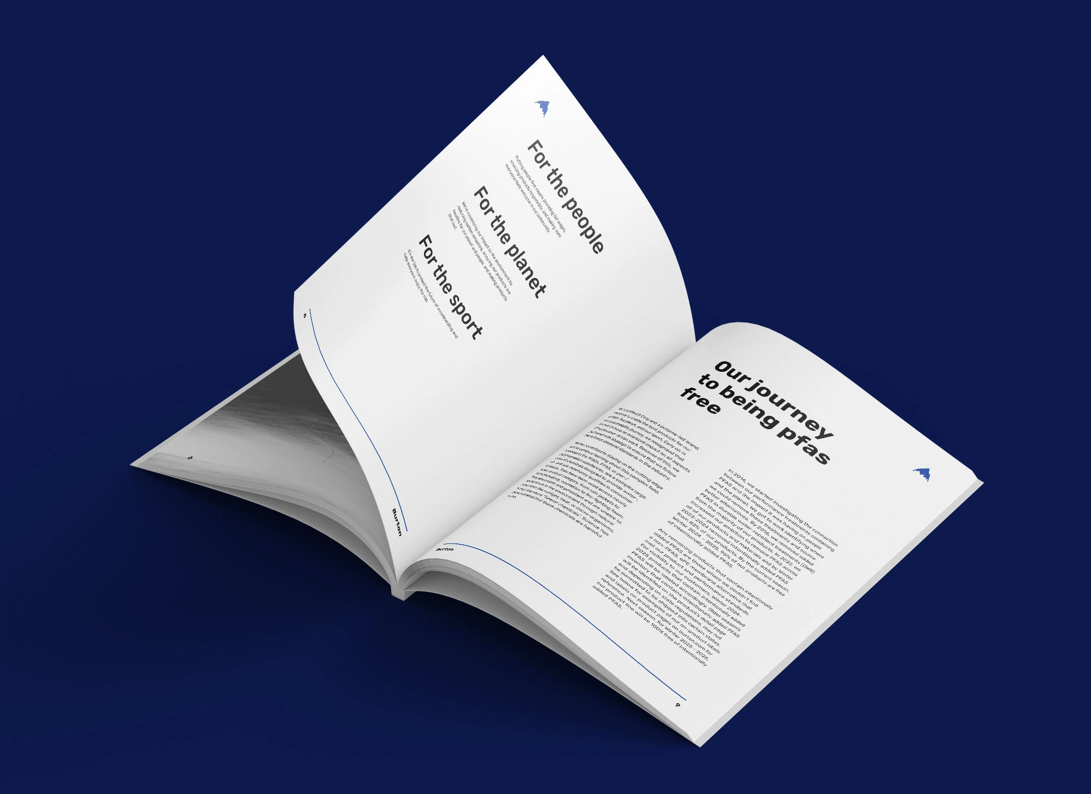 Буклет Burton — Изображение №4 — Графика на Dprofile