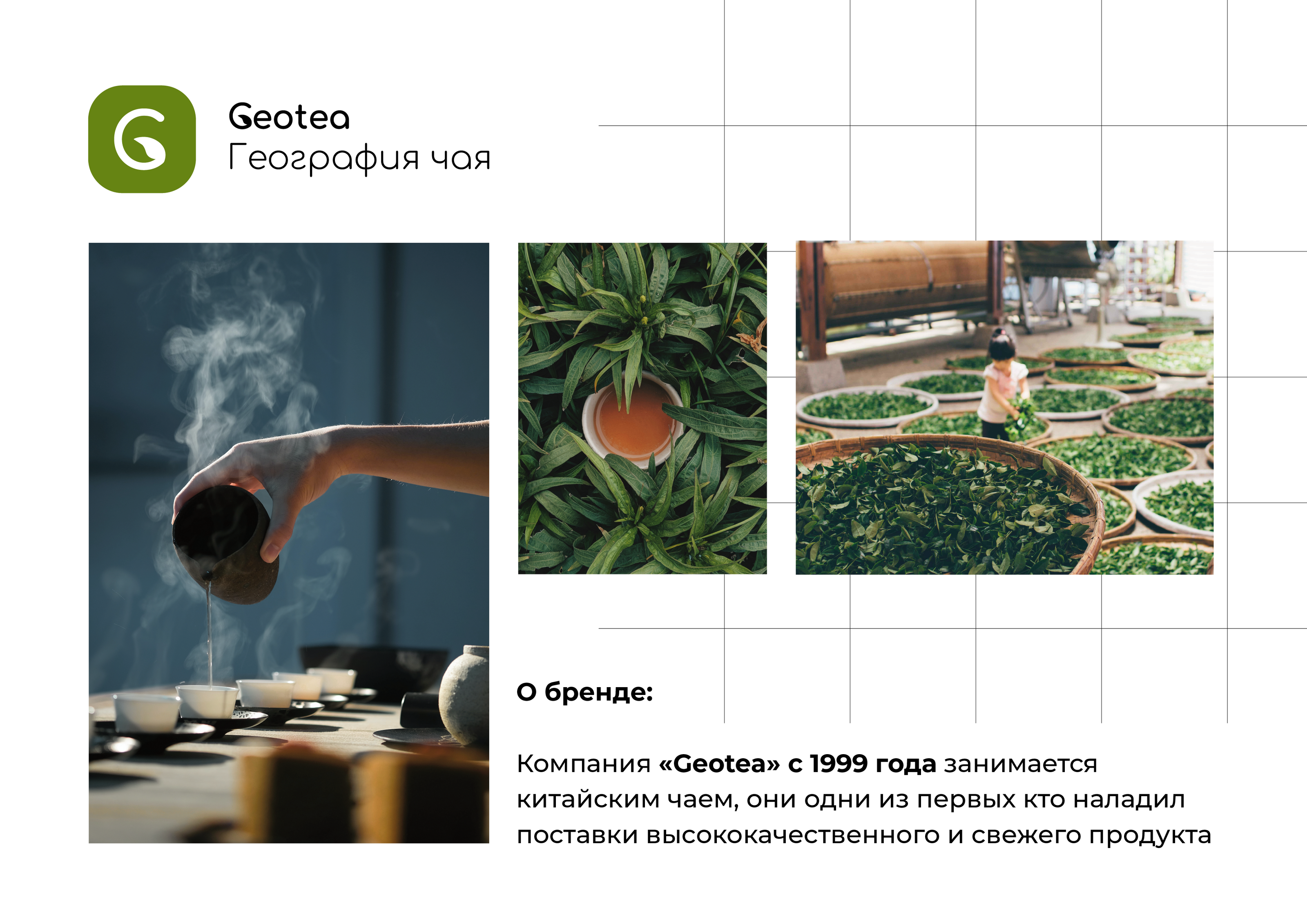 Разработка логотипа и рекламных материалов "Geotea" — Изображение №1 — Брендинг, Маркетинг на Dprofile