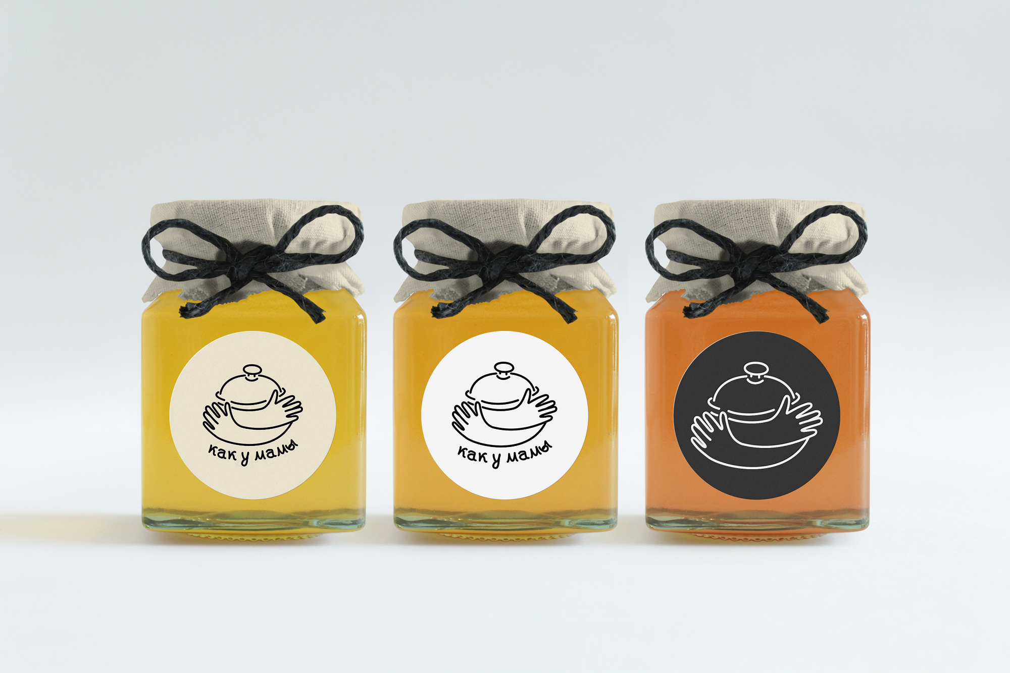 Логотип для для компании производящей домашние полуфабрикаты — Изображение №6 — Интерфейсы, Брендинг на Dprofile