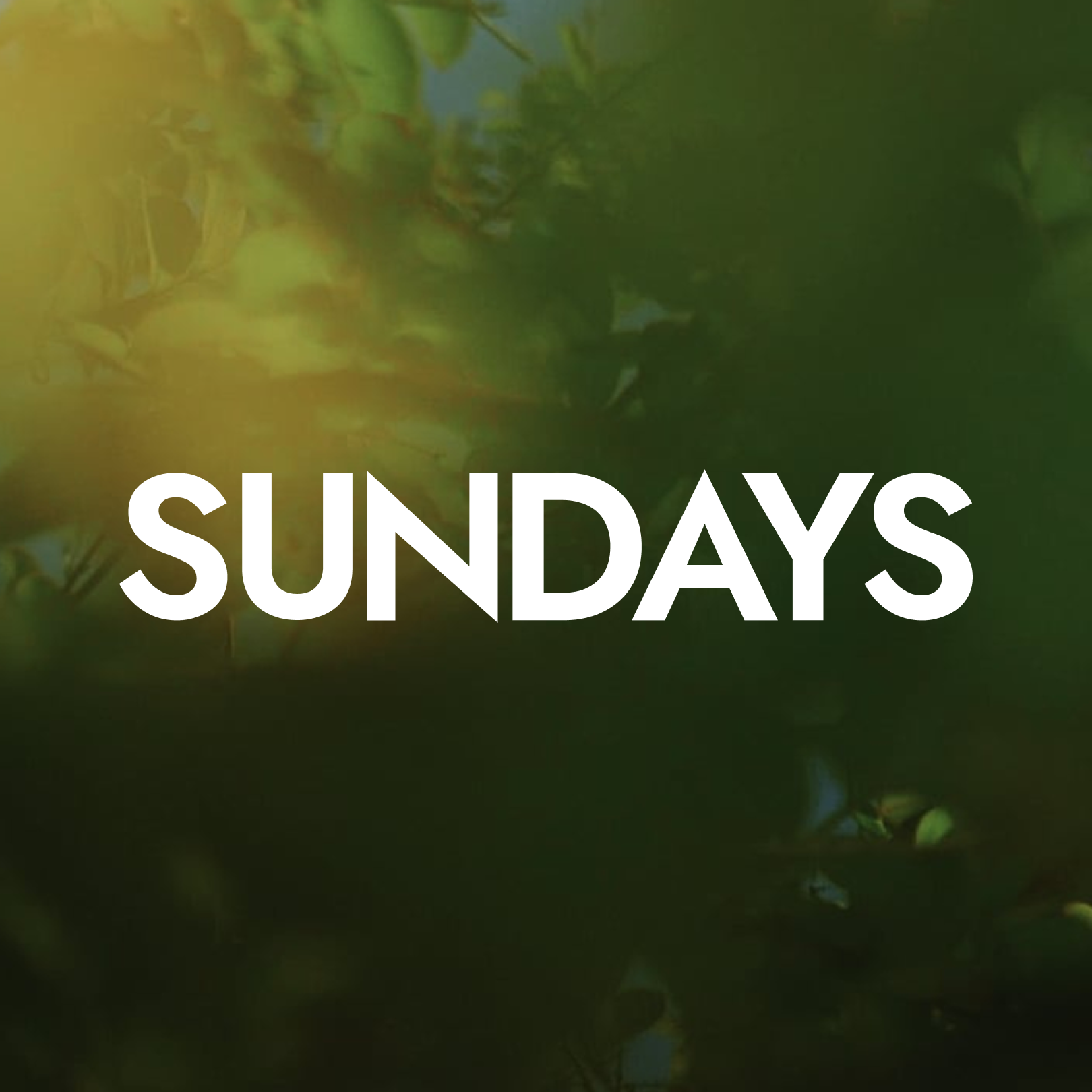 Аватар пользователя SUNDAYS AG.