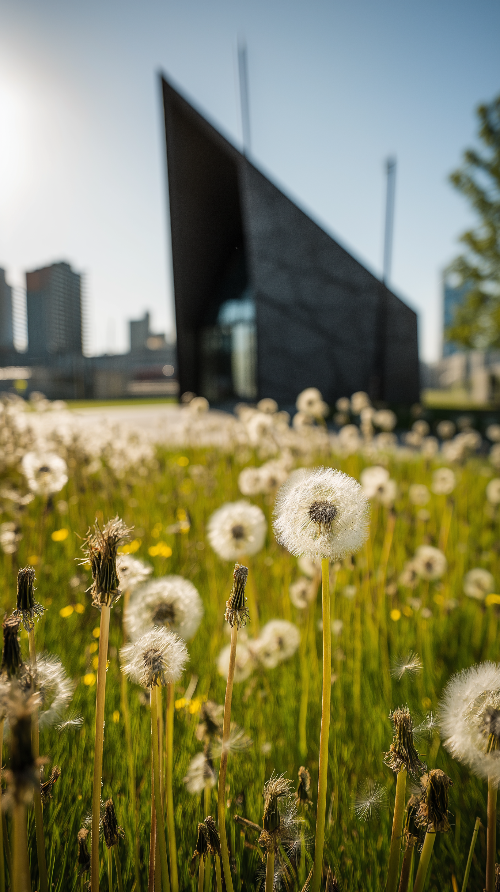 Офис продаж премиального ЖК — Изображение №2 — Иллюстрация на Dprofile