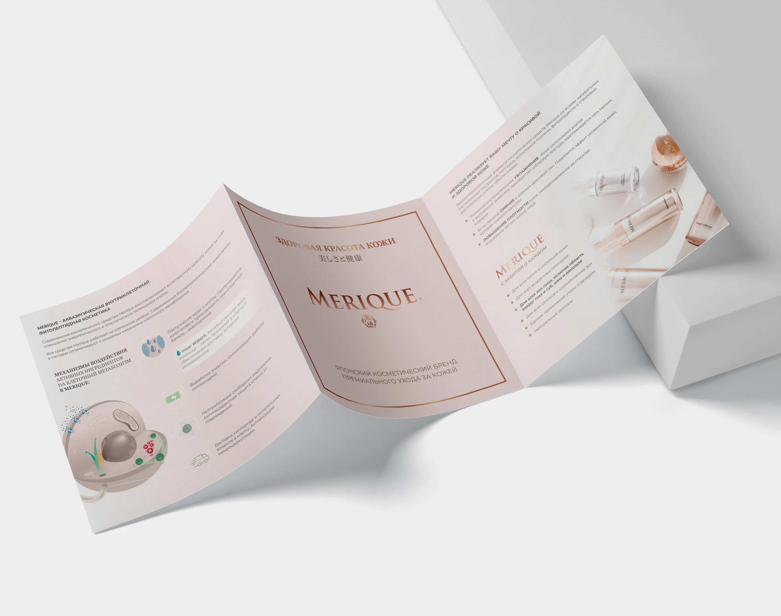 Merique (презентация и маркетинговые материалы) — Изображение №3 — Брендинг, Маркетинг на Dprofile