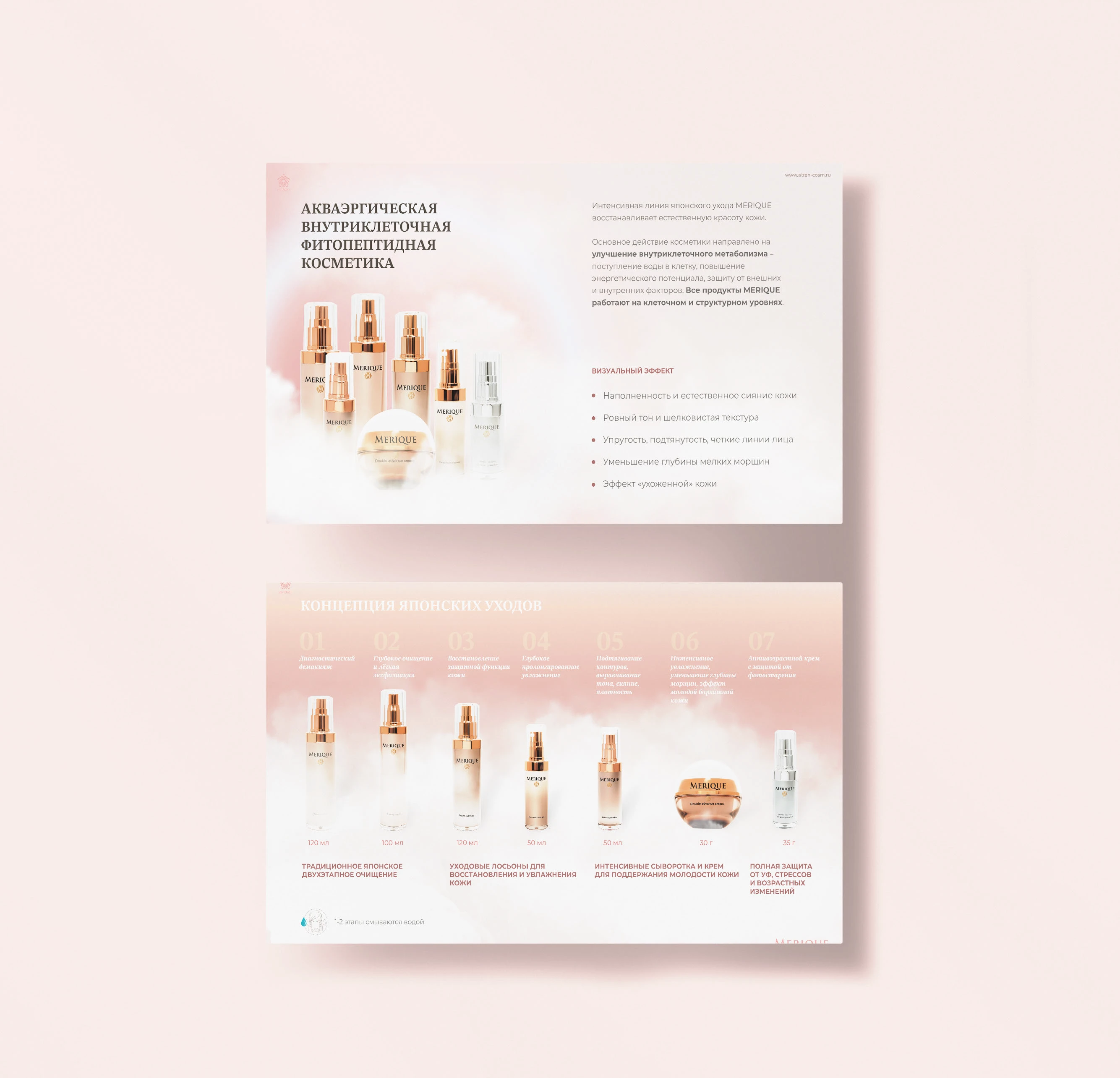 Merique (презентация и маркетинговые материалы) — Изображение №2 — Брендинг, Маркетинг на Dprofile
