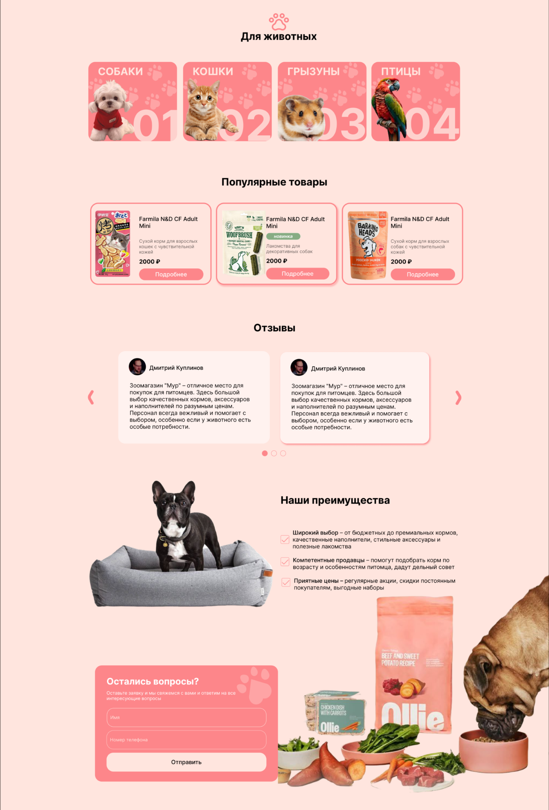 Лендинг для зоомагазина «Мур» — Изображение №4 — Интерфейсы, Брендинг на Dprofile