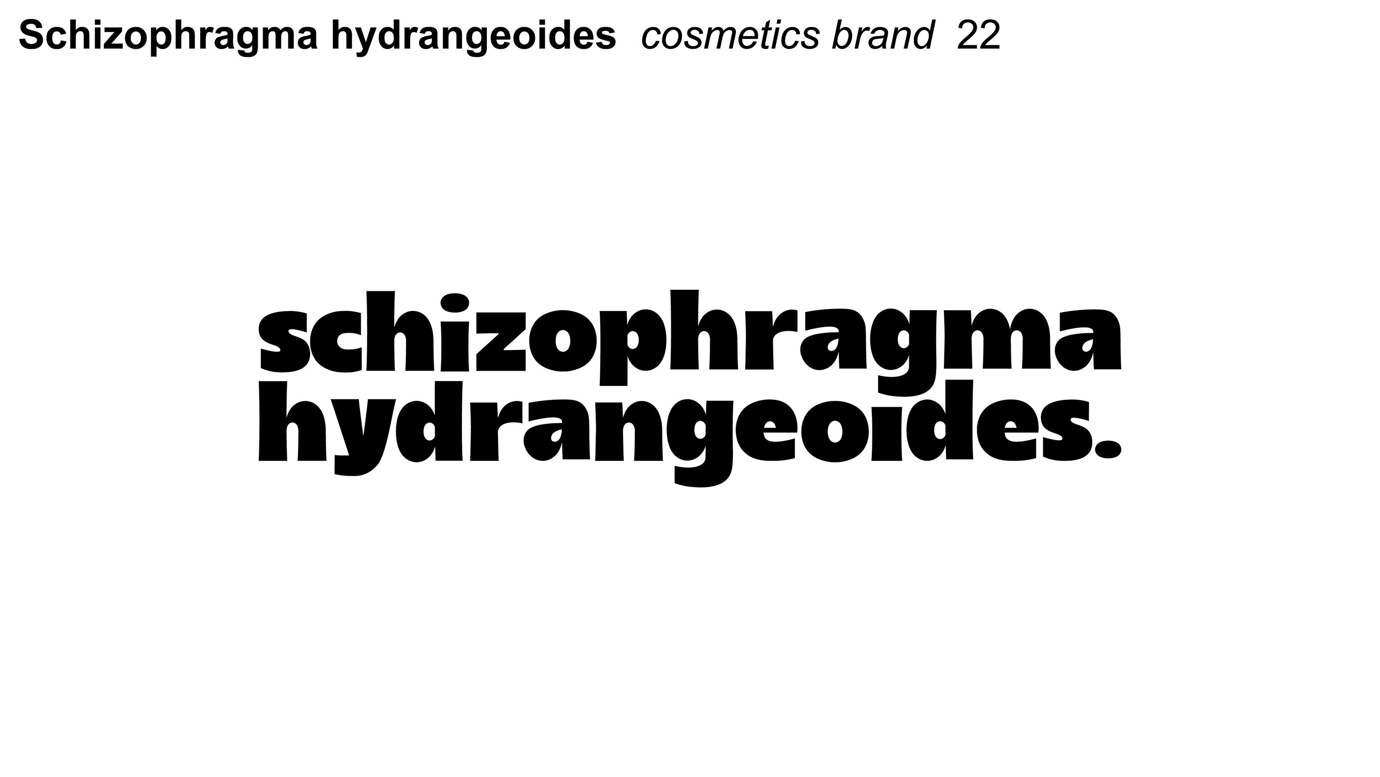 logofolio vol. 1 — Изображение №6 — Брендинг на Dprofile