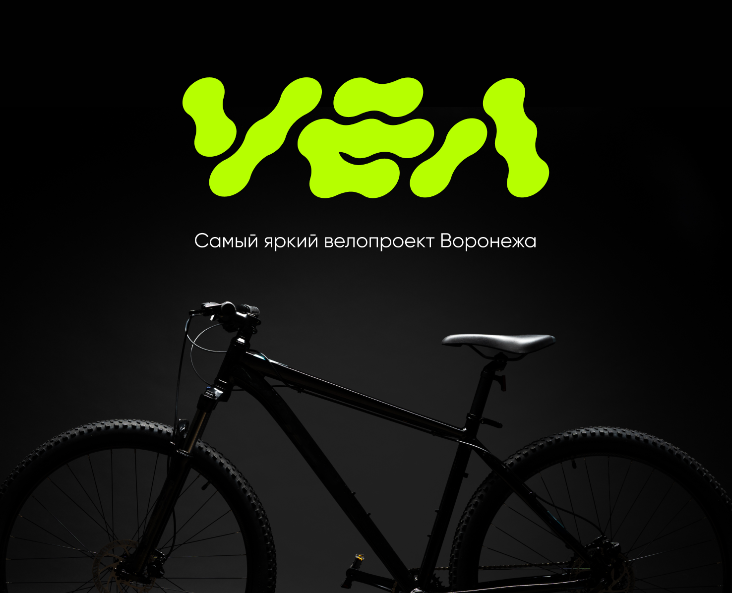 VEL | Коммерческий сайт — Интерфейсы, Брендинг на Dprofile