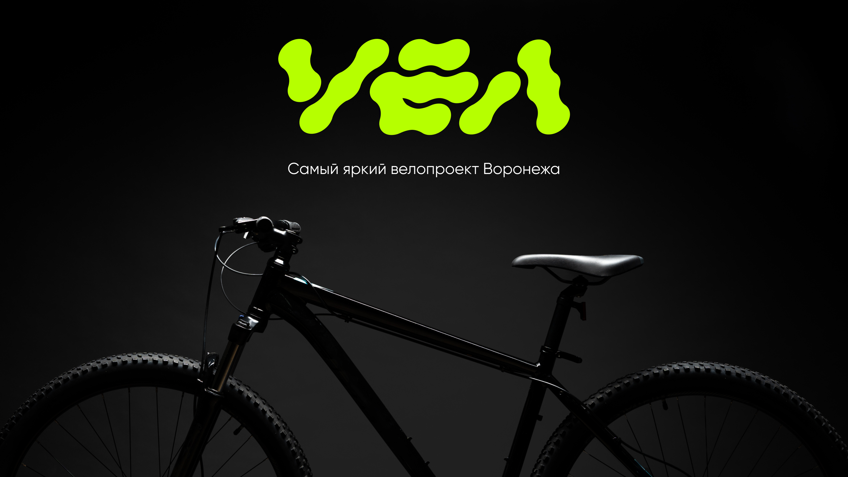 VEL | Коммерческий сайт — Изображение №1 — Интерфейсы, Брендинг на Dprofile