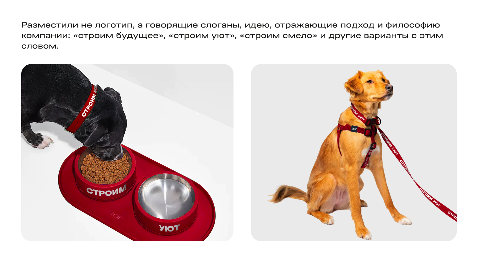 Коллекция мерча для Девелопмент-юг — Изображение №7 — Брендинг на Dprofile
