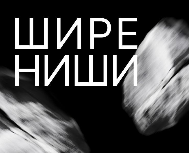 Digital-конференция ШИРЕ НИШИ — Брендинг, Графика на Dprofile