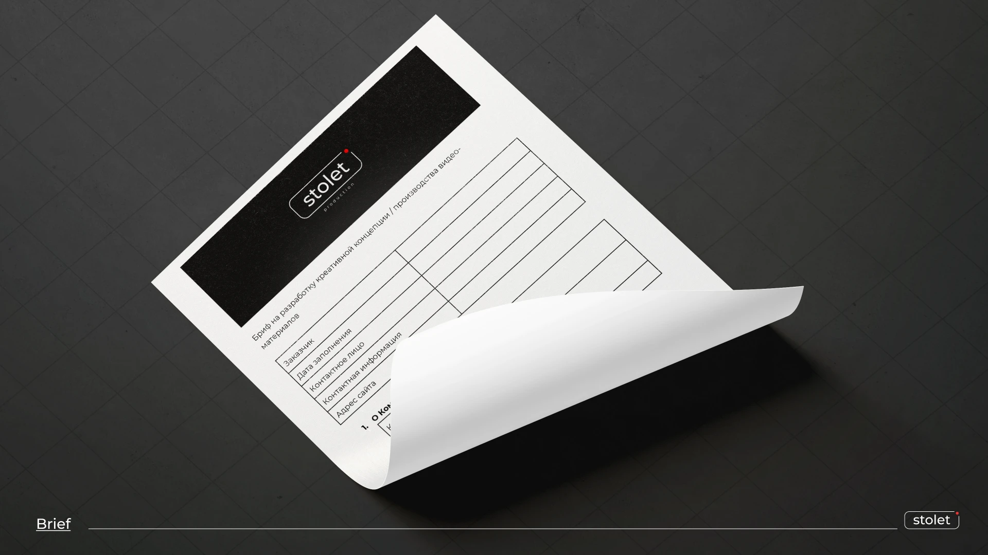 Brandbook Stolet production — Изображение №10 — Брендинг на Dprofile
