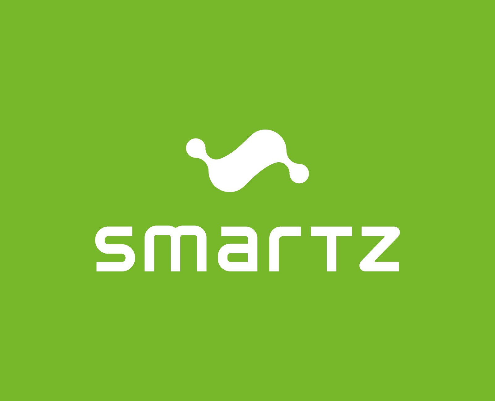 Brand identity SMARTZ — Брендинг на Dprofile