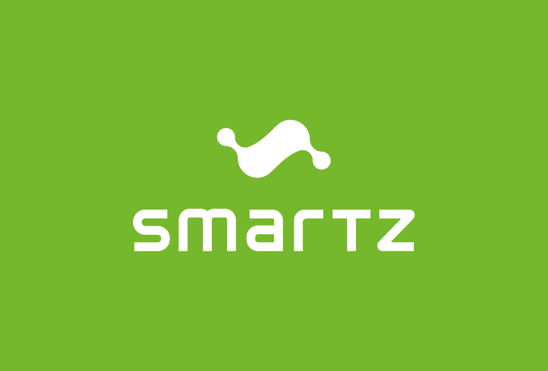Brand identity SMARTZ — Изображение №1 — Брендинг на Dprofile