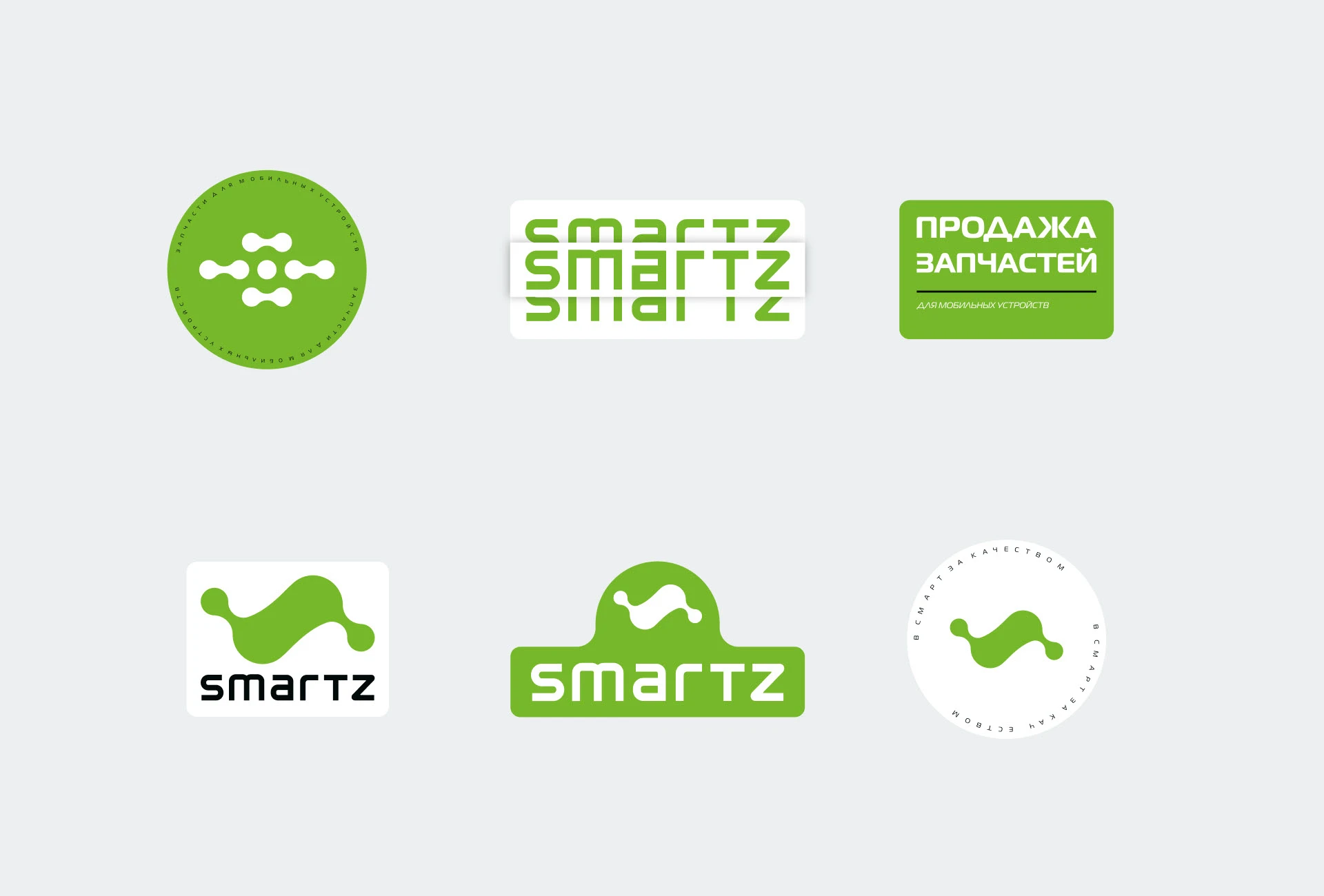 Brand identity SMARTZ — Изображение №14 — Брендинг на Dprofile