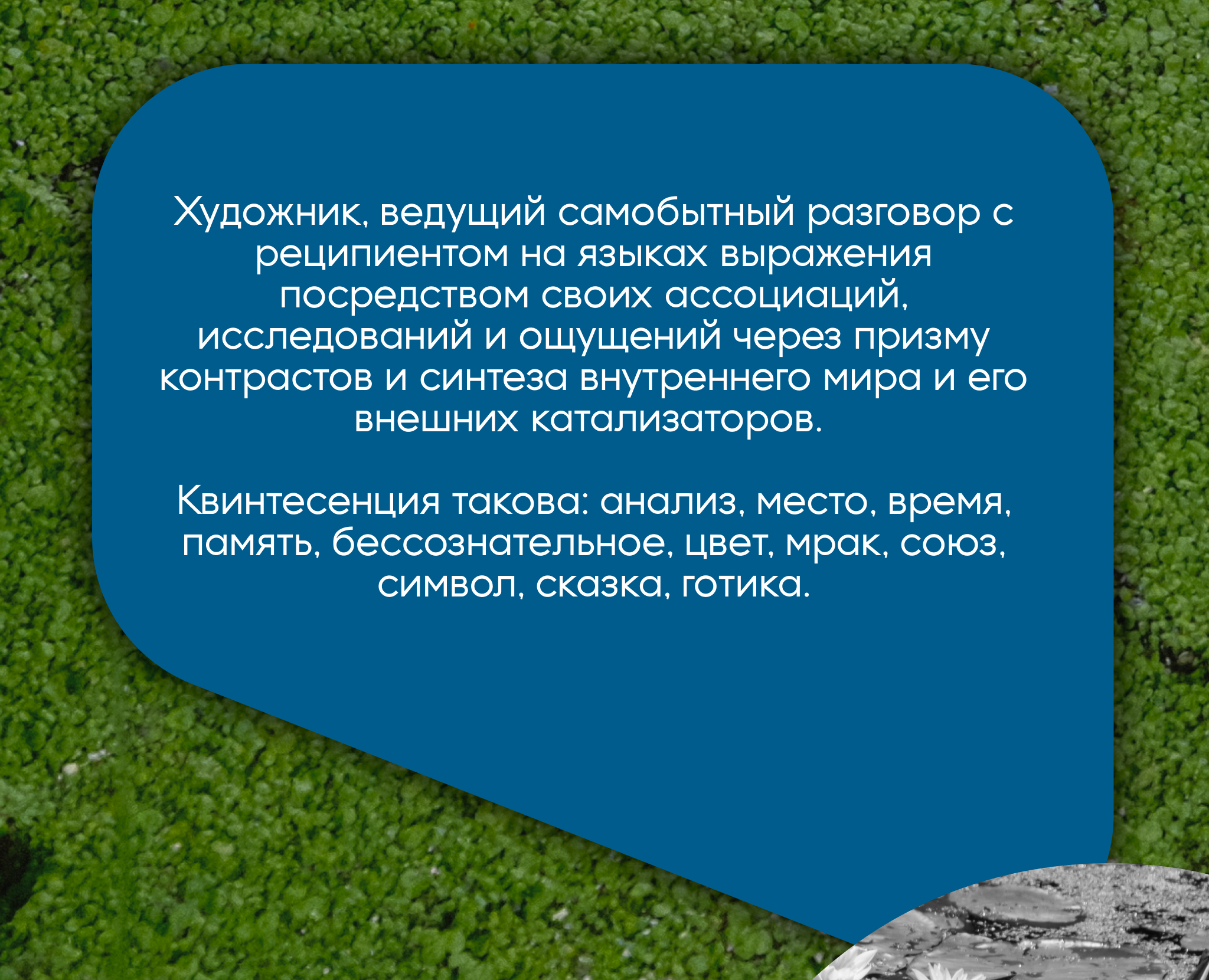 Обо мне х Упаковка соц.сетей — Изображение №74 — Брендинг, Маркетинг на Dprofile