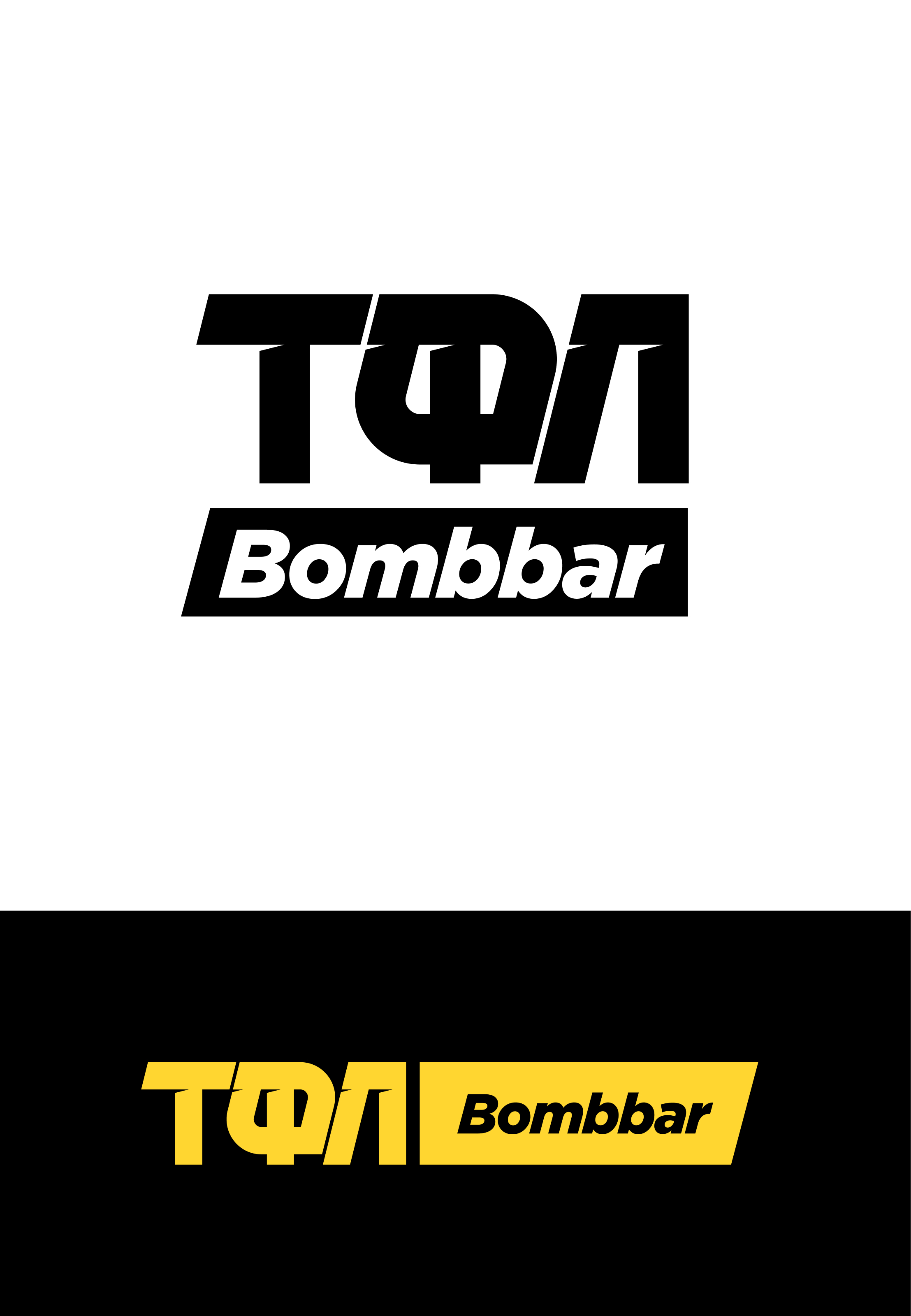 Редизайн герба и фирменный стиль ТФЛ — Изображение №3 — Брендинг на Dprofile