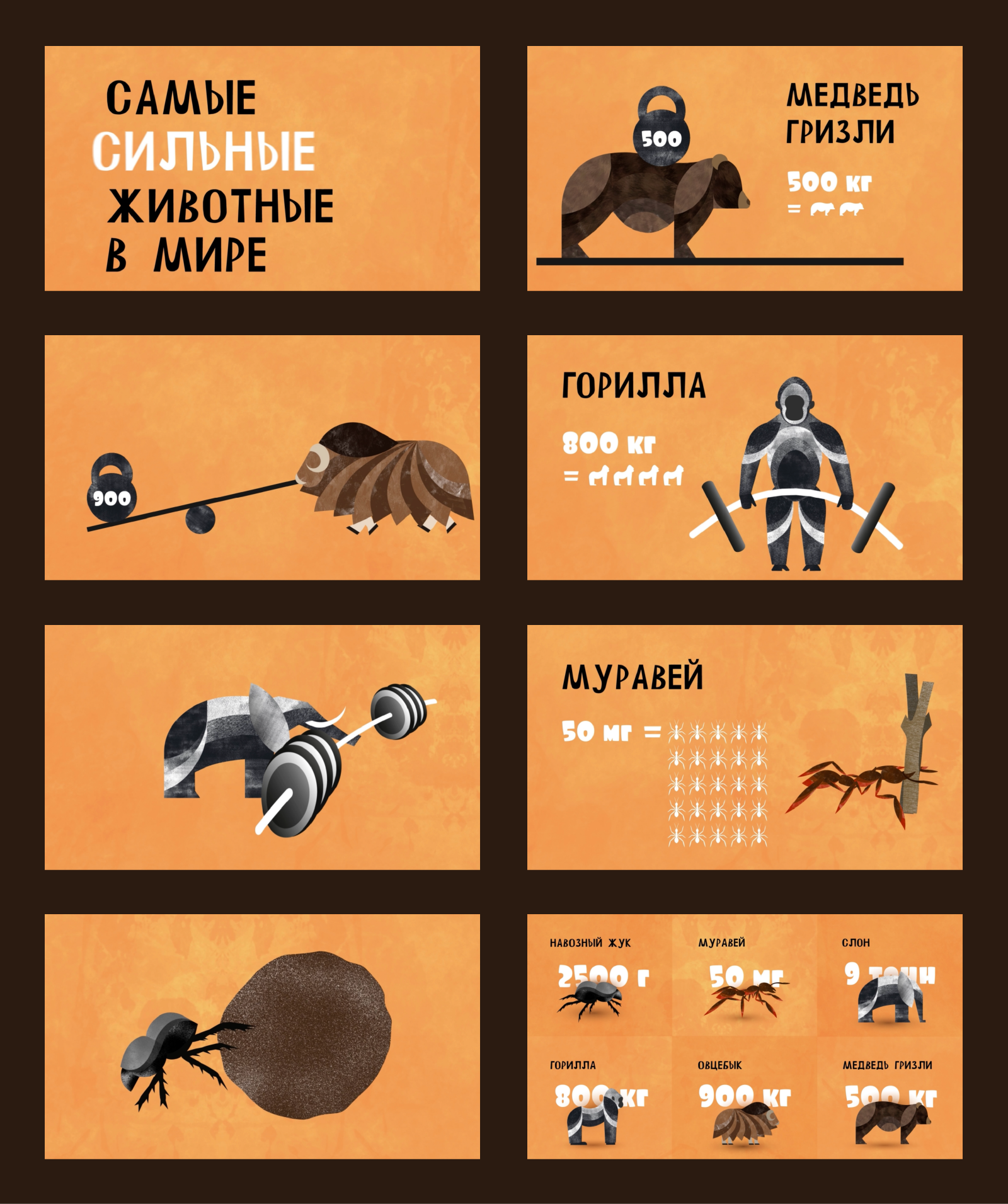 Анимированная инфографика «Самые сильные животные в мире» — Изображение №2 — Графика, Анимация на Dprofile