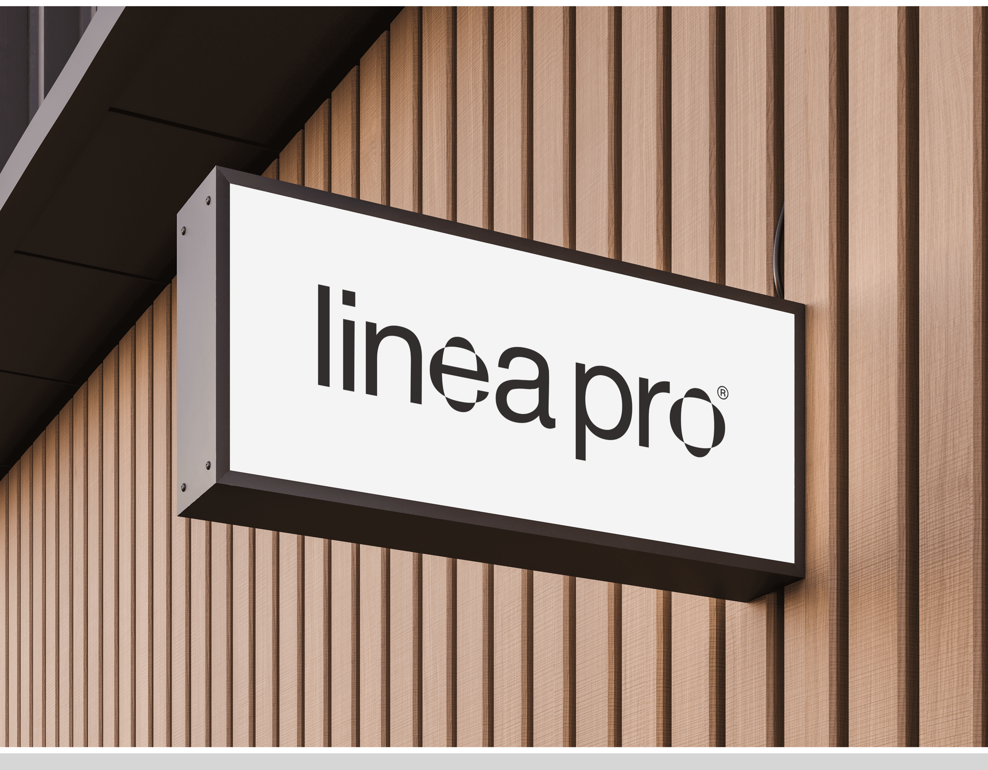 LINEA PRO – Дизайн сайта архитектурного бюро — Изображение №10 — Интерфейсы, Брендинг на Dprofile